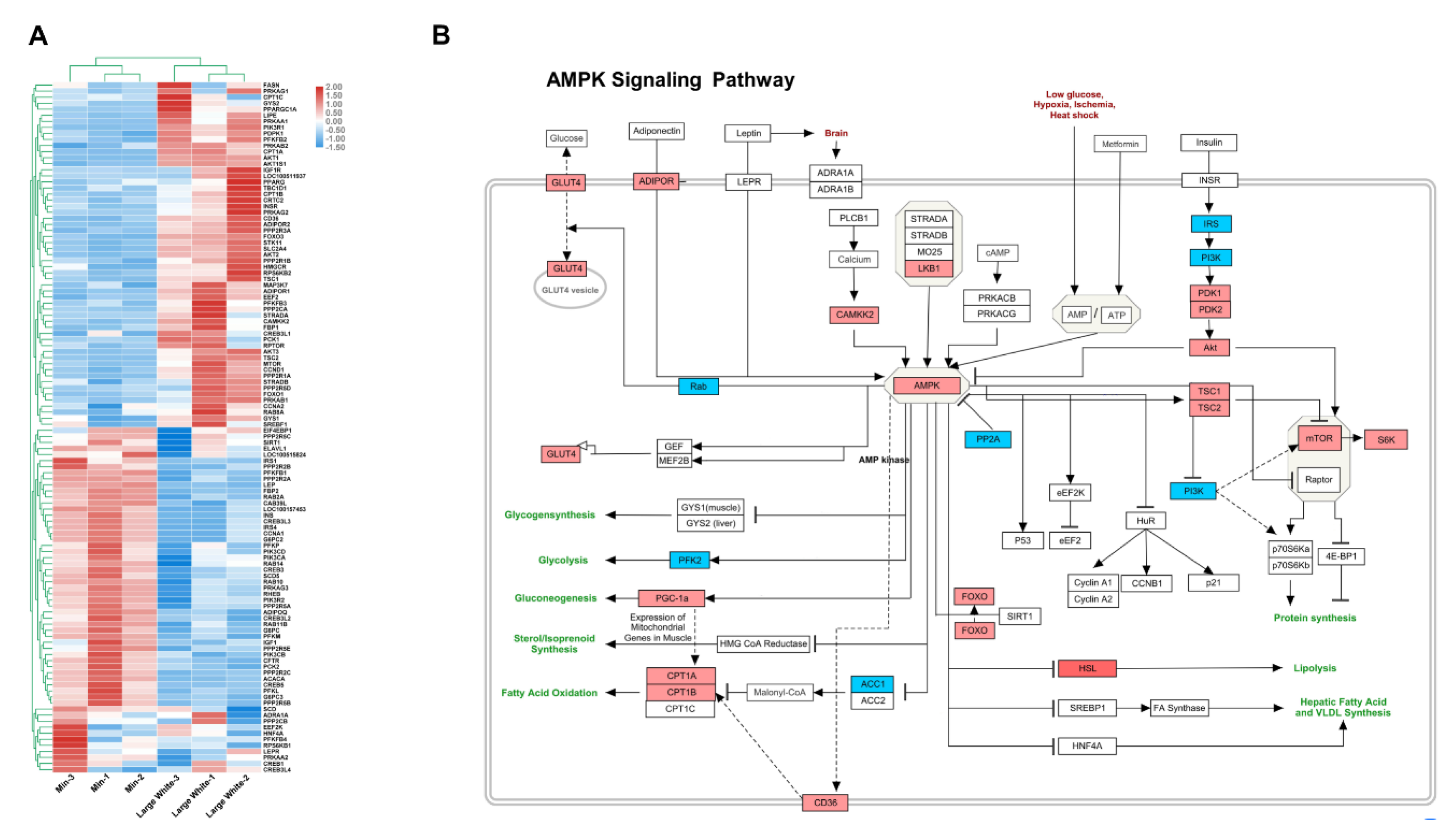 Animals 09 00137 g003