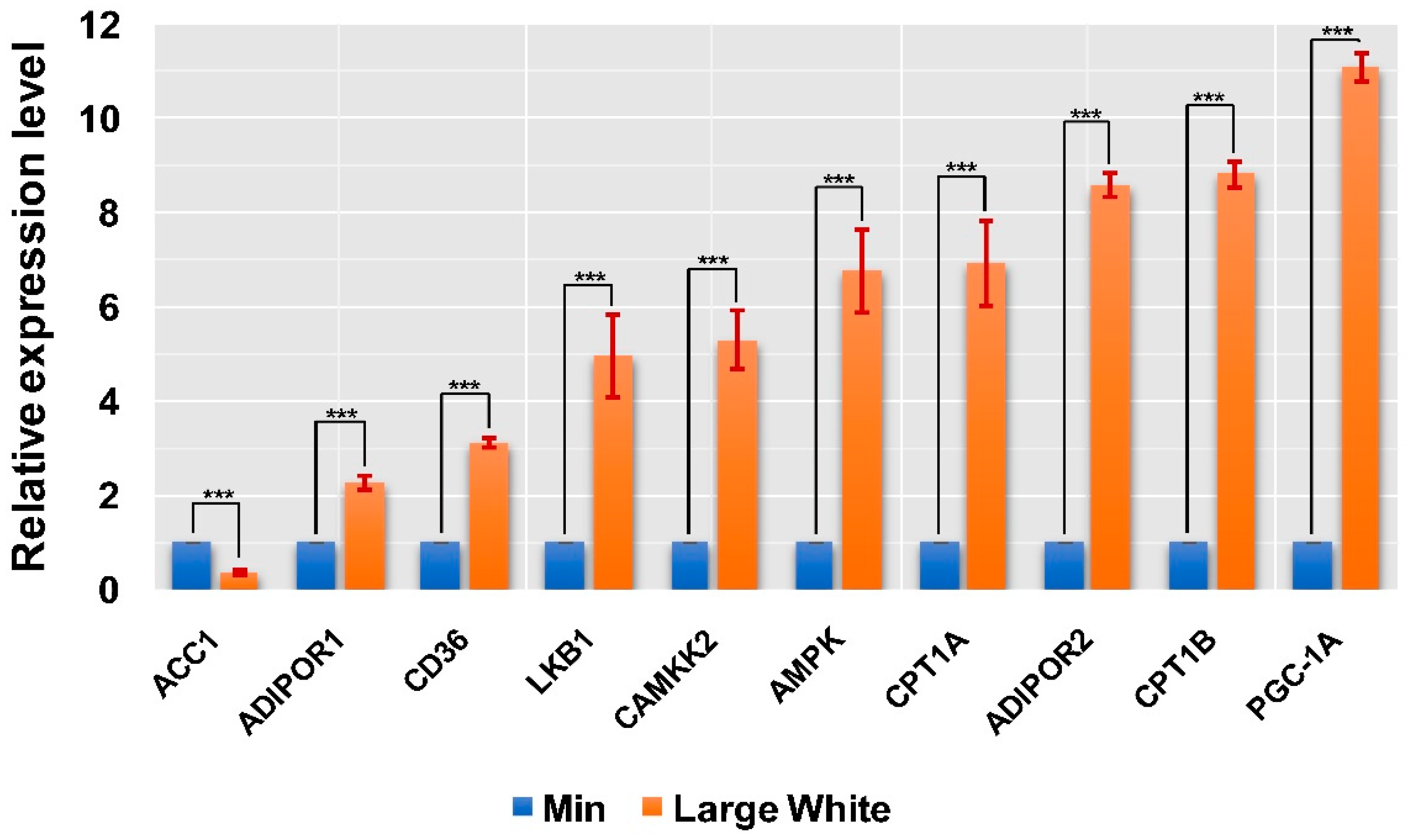 Animals 09 00137 g005