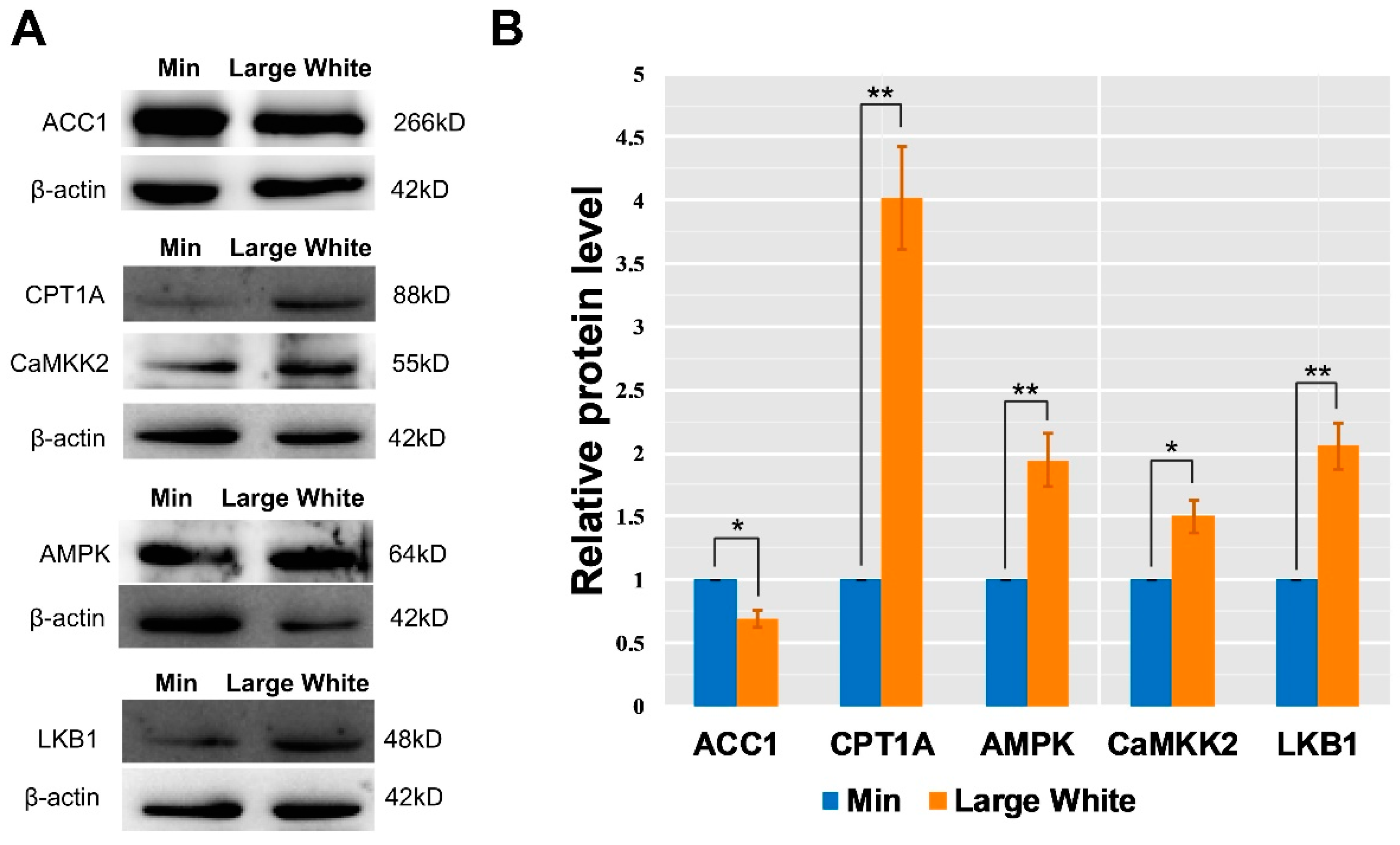 Animals 09 00137 g006