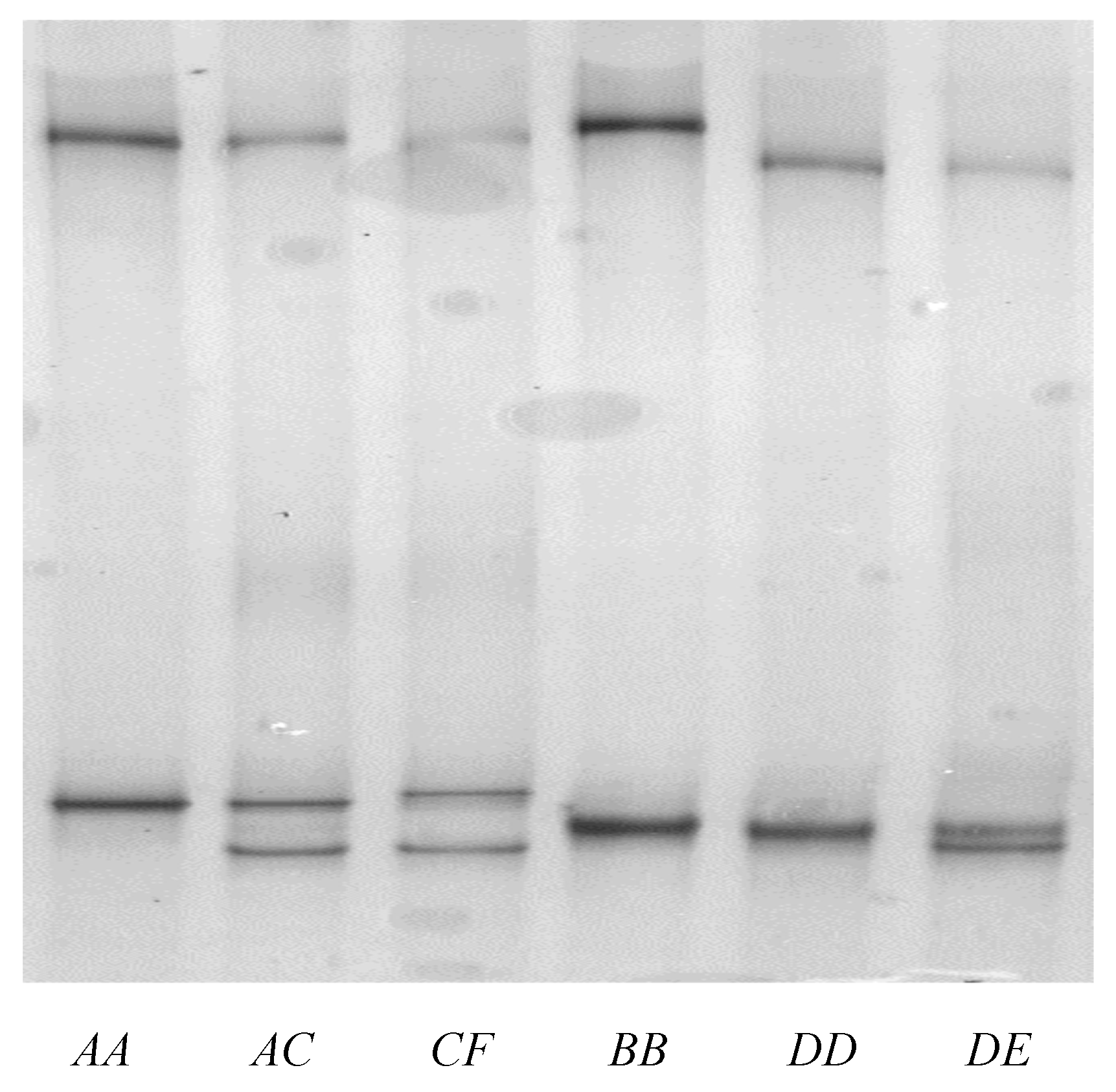 Animals 09 00142 g003 Animals 09 00142 g003