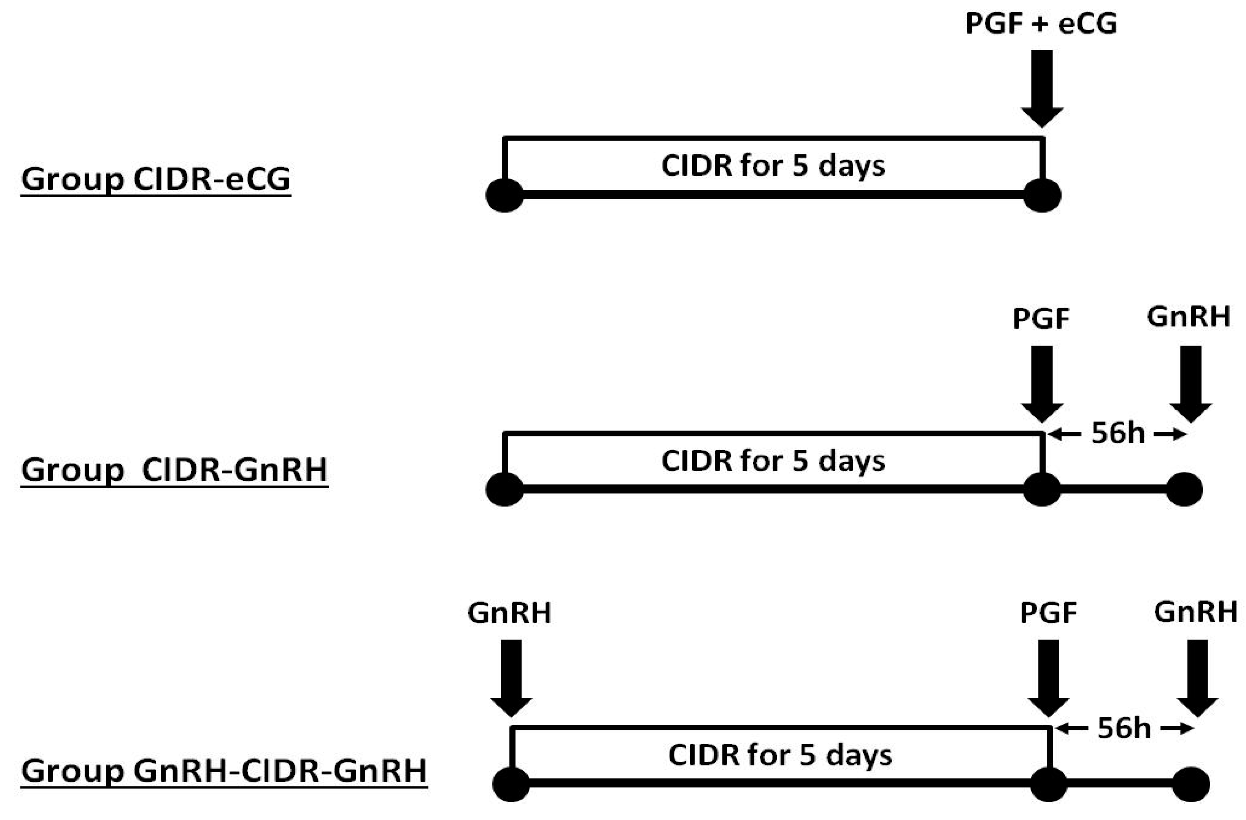 Animals Free FullText Efficiency of CIDRBased Protocols Including