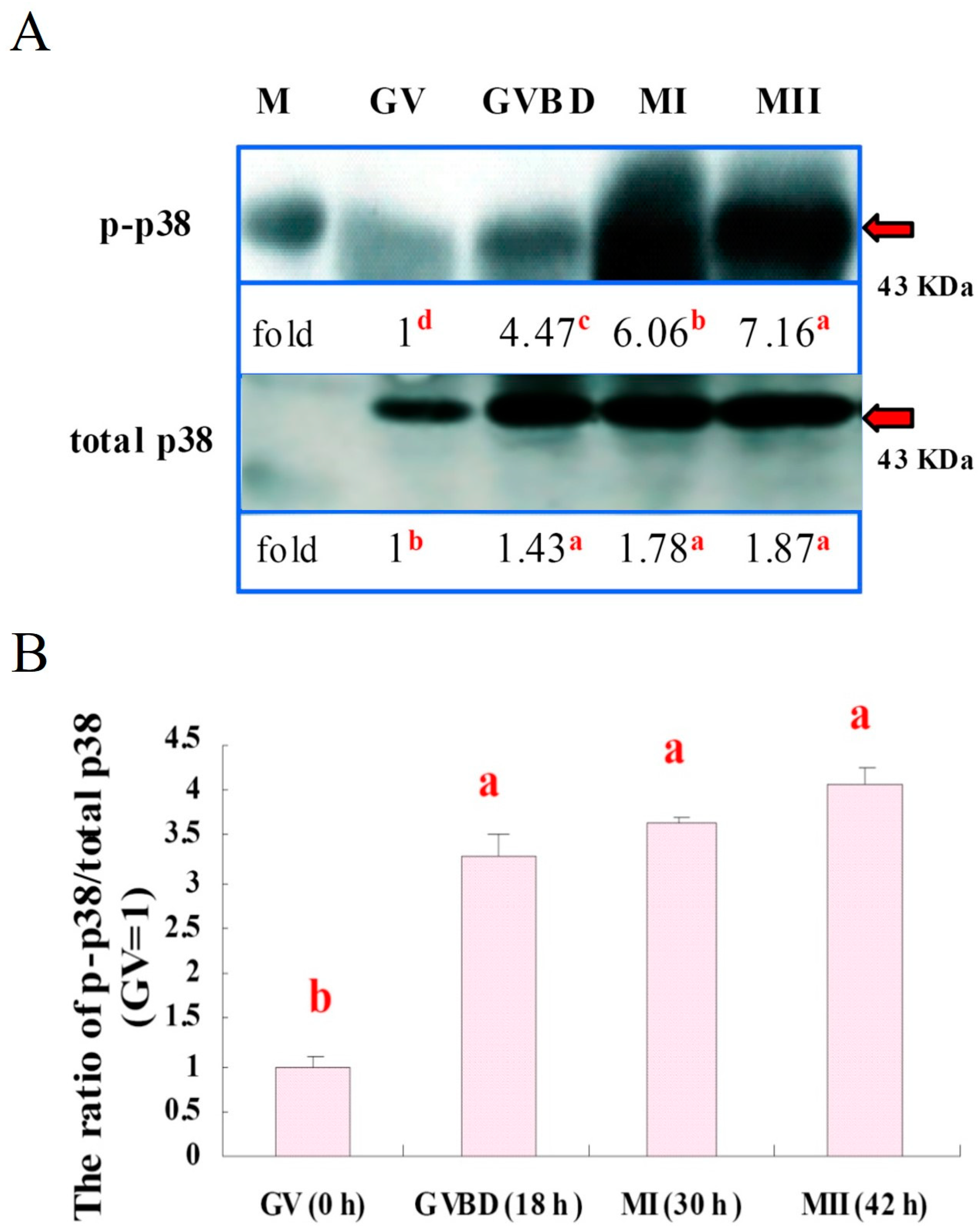 Animals 09 00163 g005
