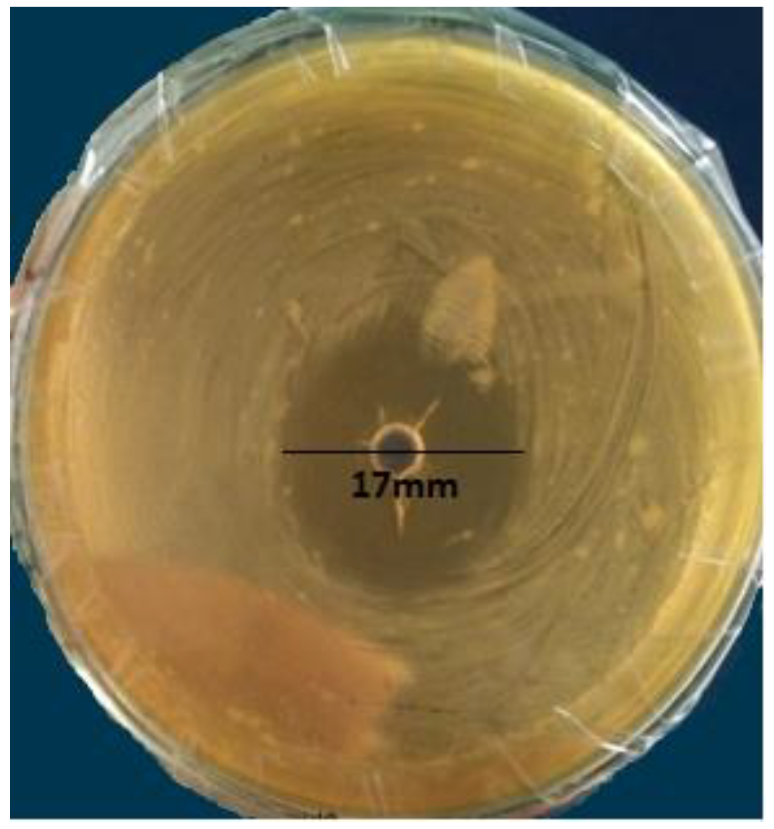 Animals 09 00166 g001 Animals 09 00166 g001