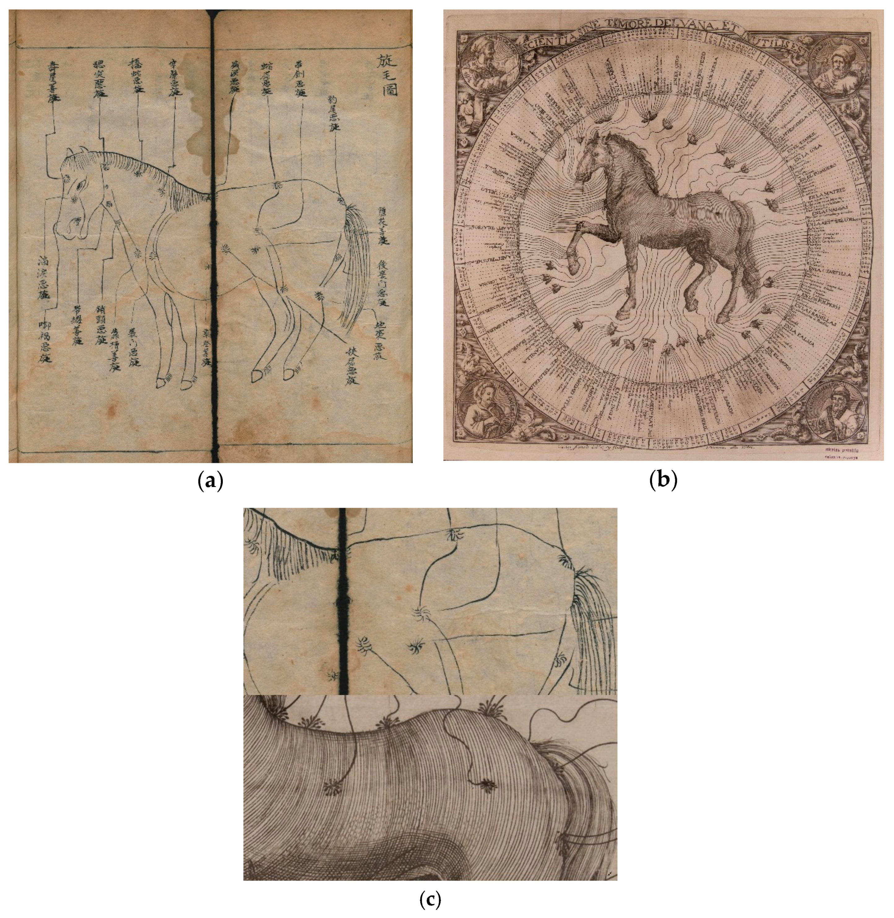 amnesia the small horse all parts