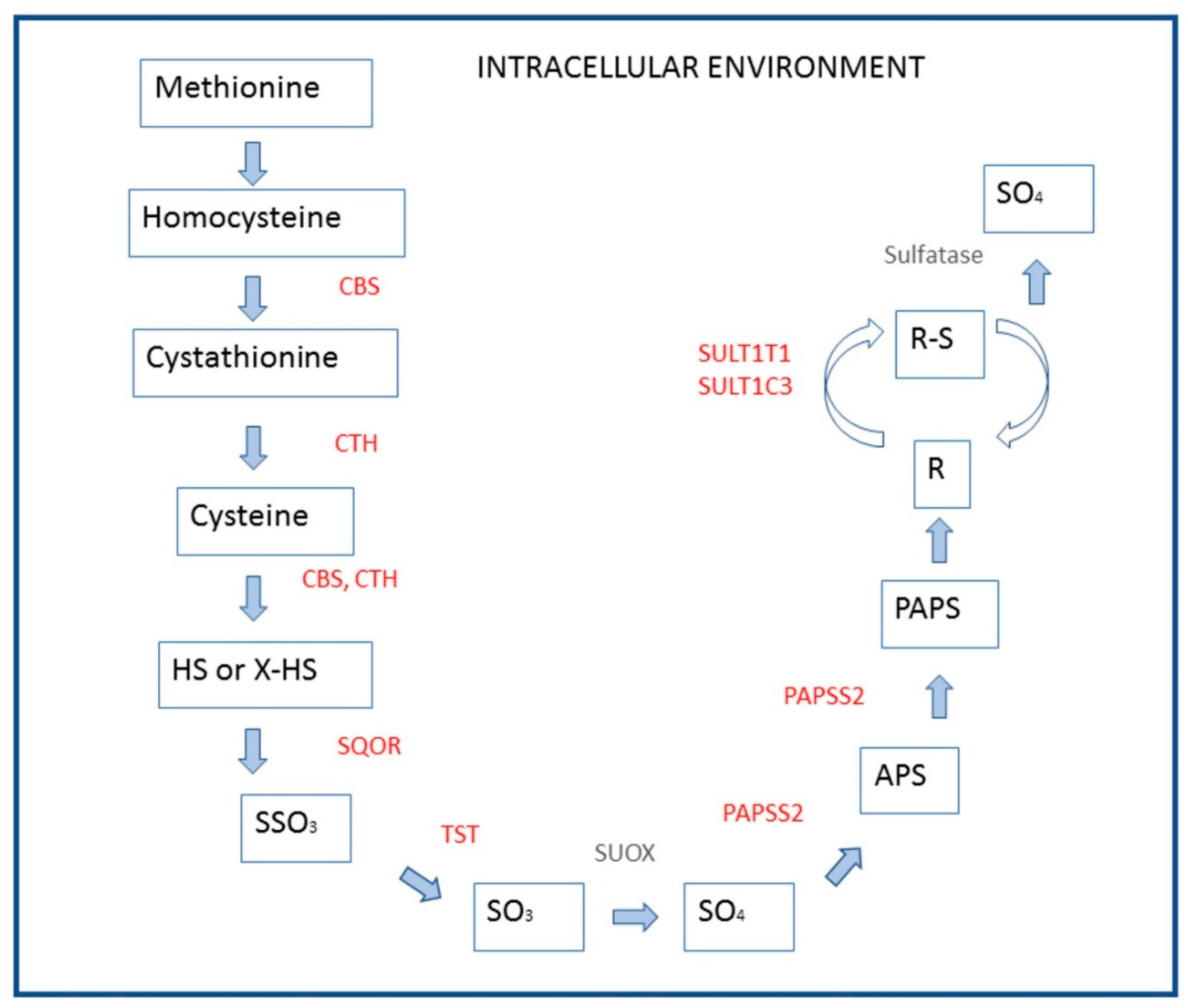 Animals 09 00221 g003 Animals 09 00221 g003
