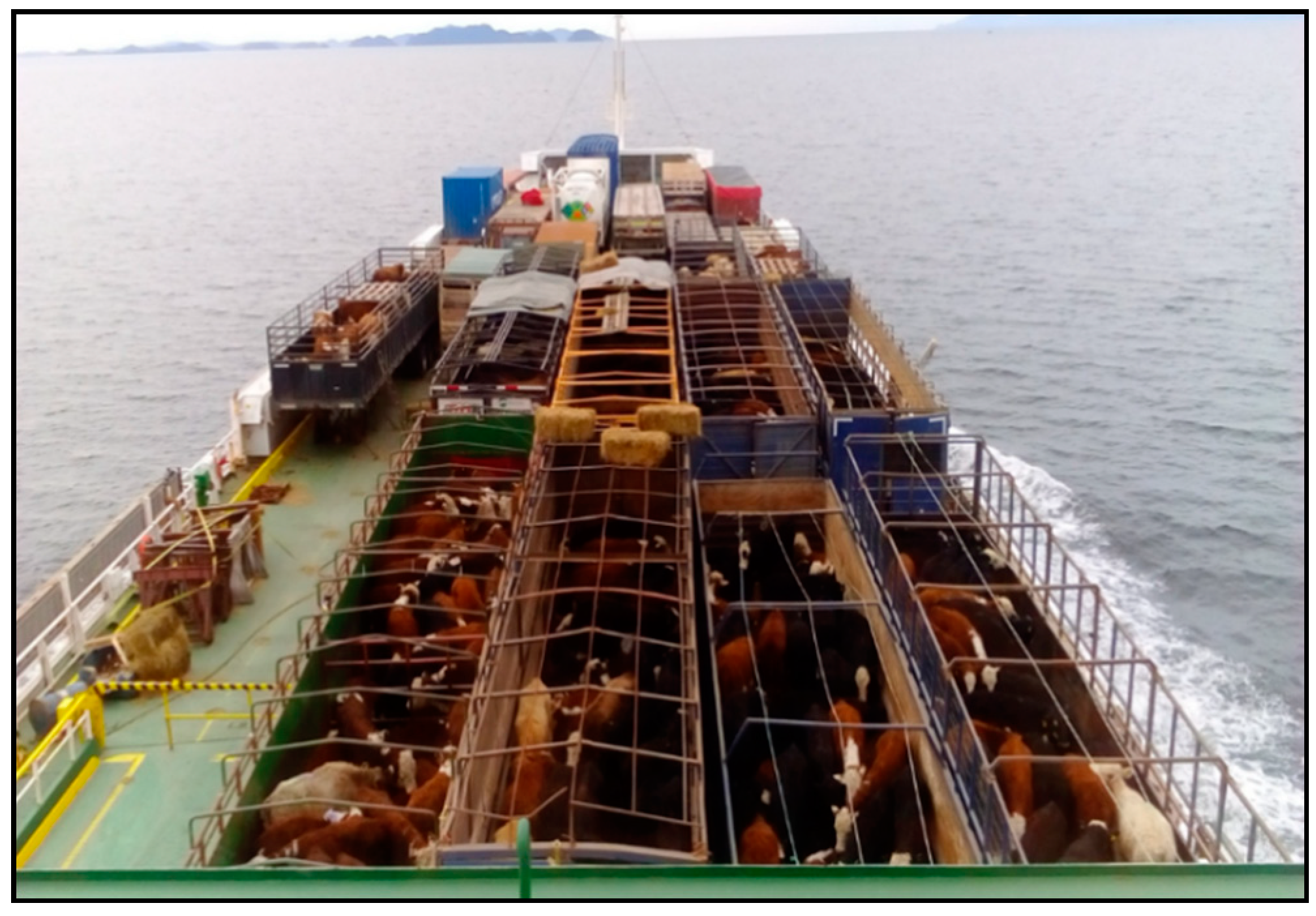 Livestock Handling And Transport Transport Informations Lane