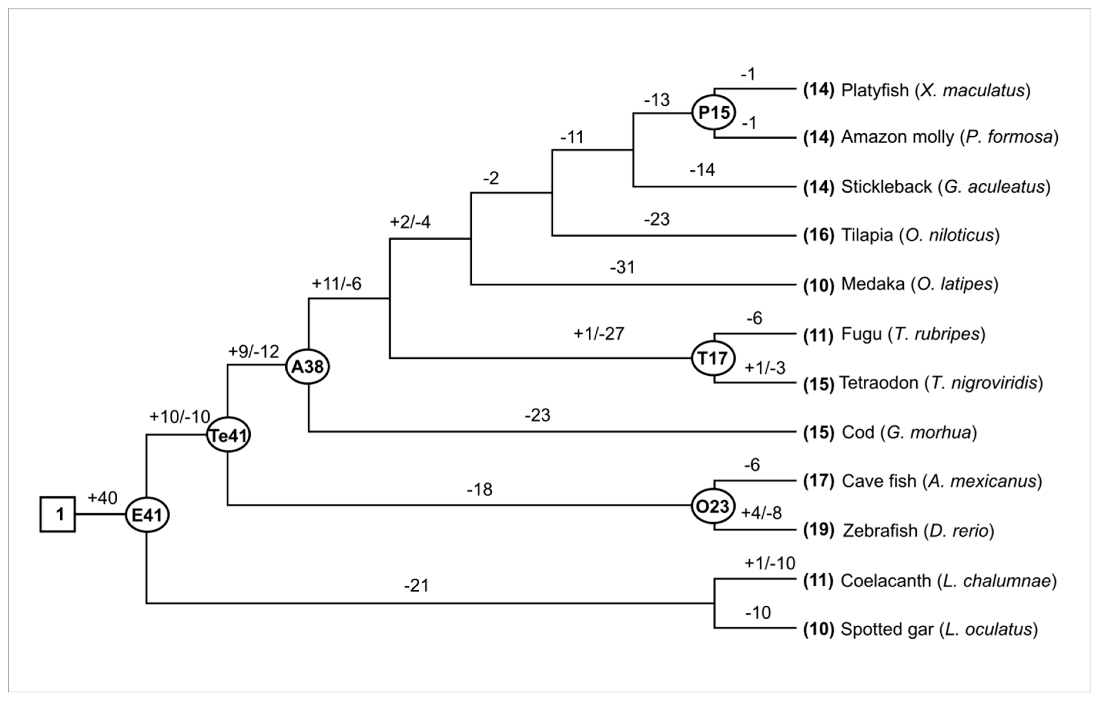 Animals 09 00233 g001