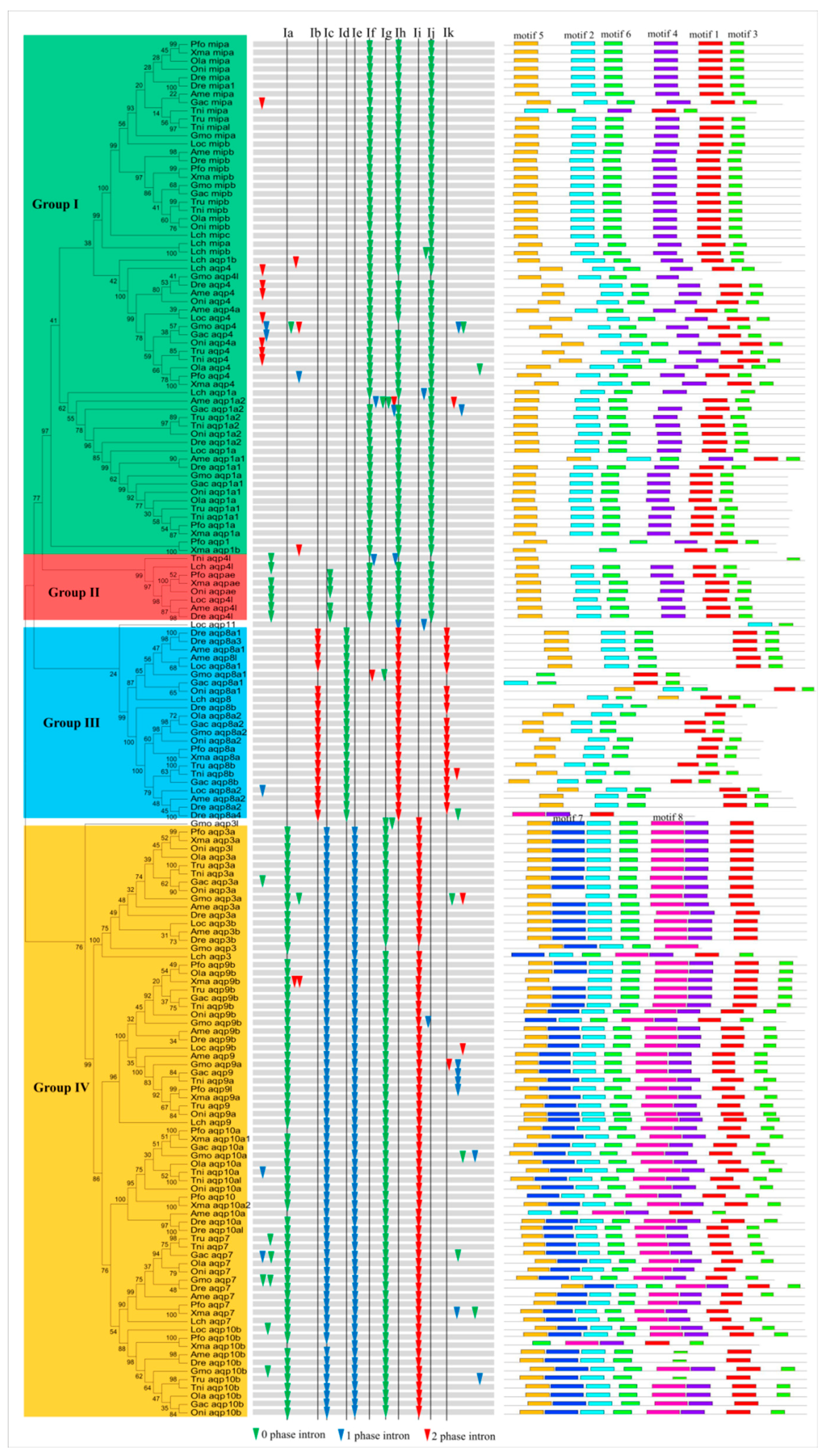 Animals 09 00233 g002