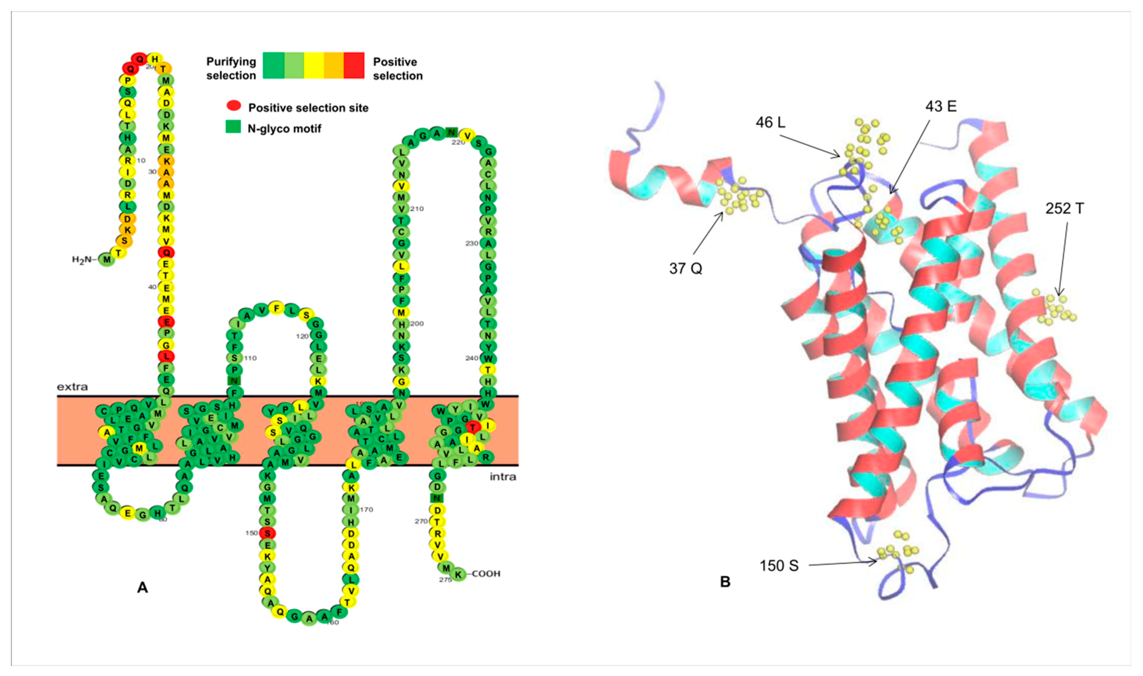 Animals 09 00233 g004