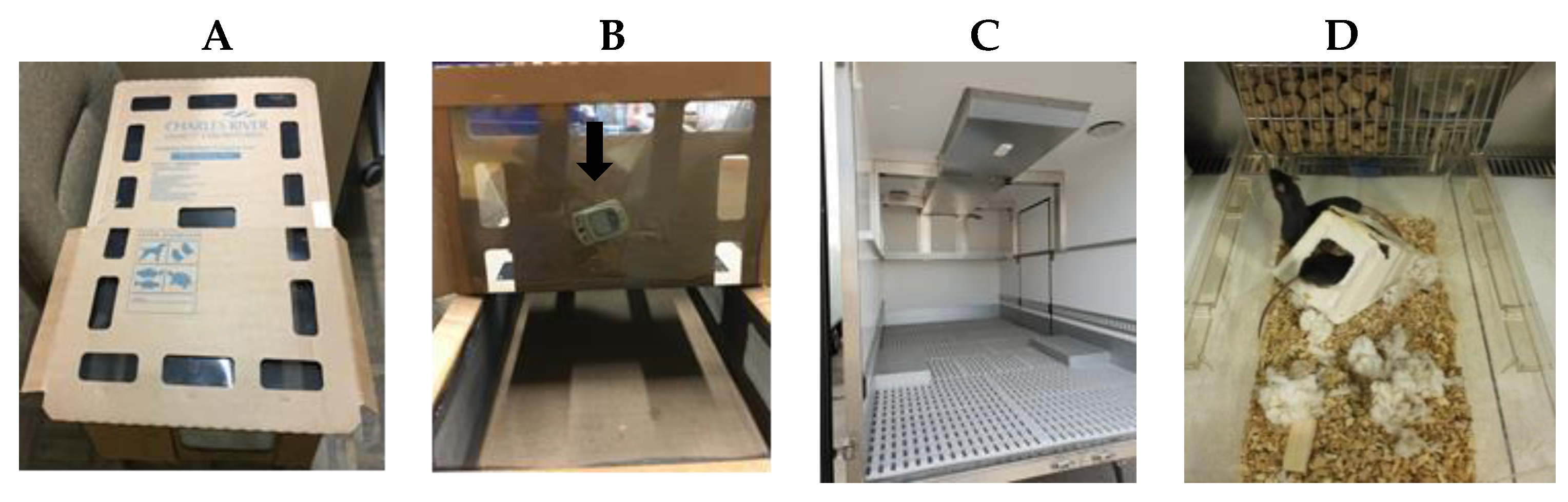 Animals 09 00239 g001