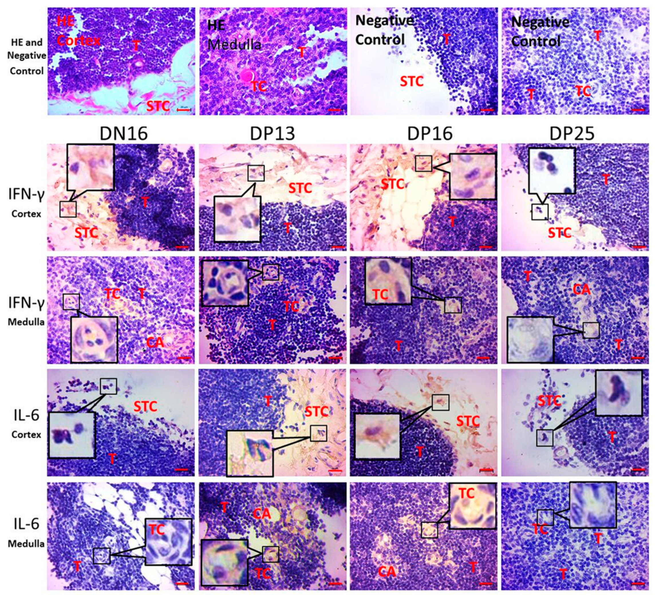 Animals 09 00245 g003 Animals 09 00245 g003