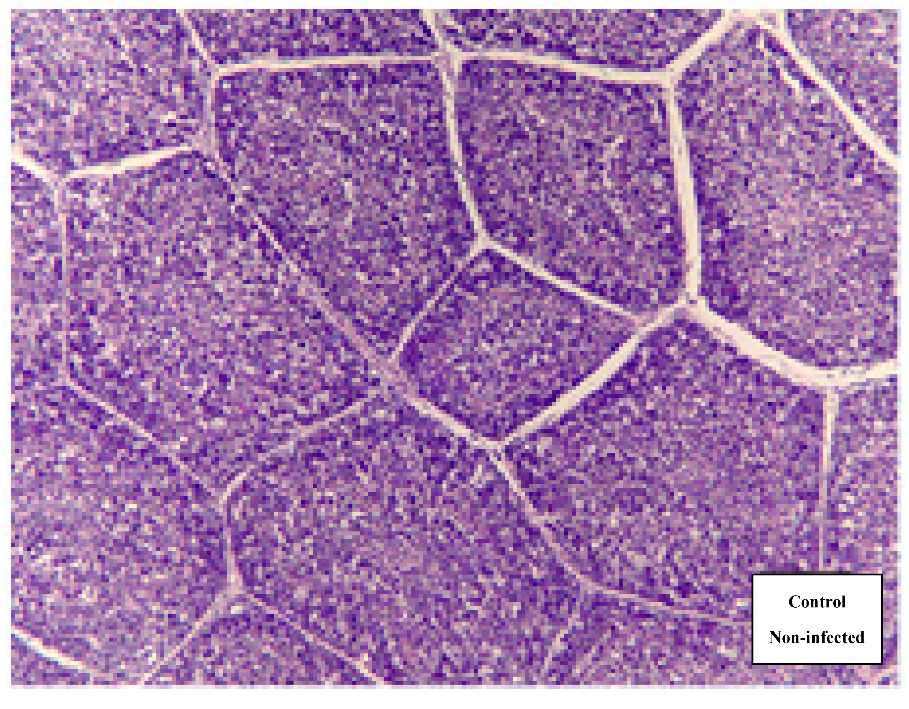 Animals 09 00247 g001 Animals 09 00247 g001