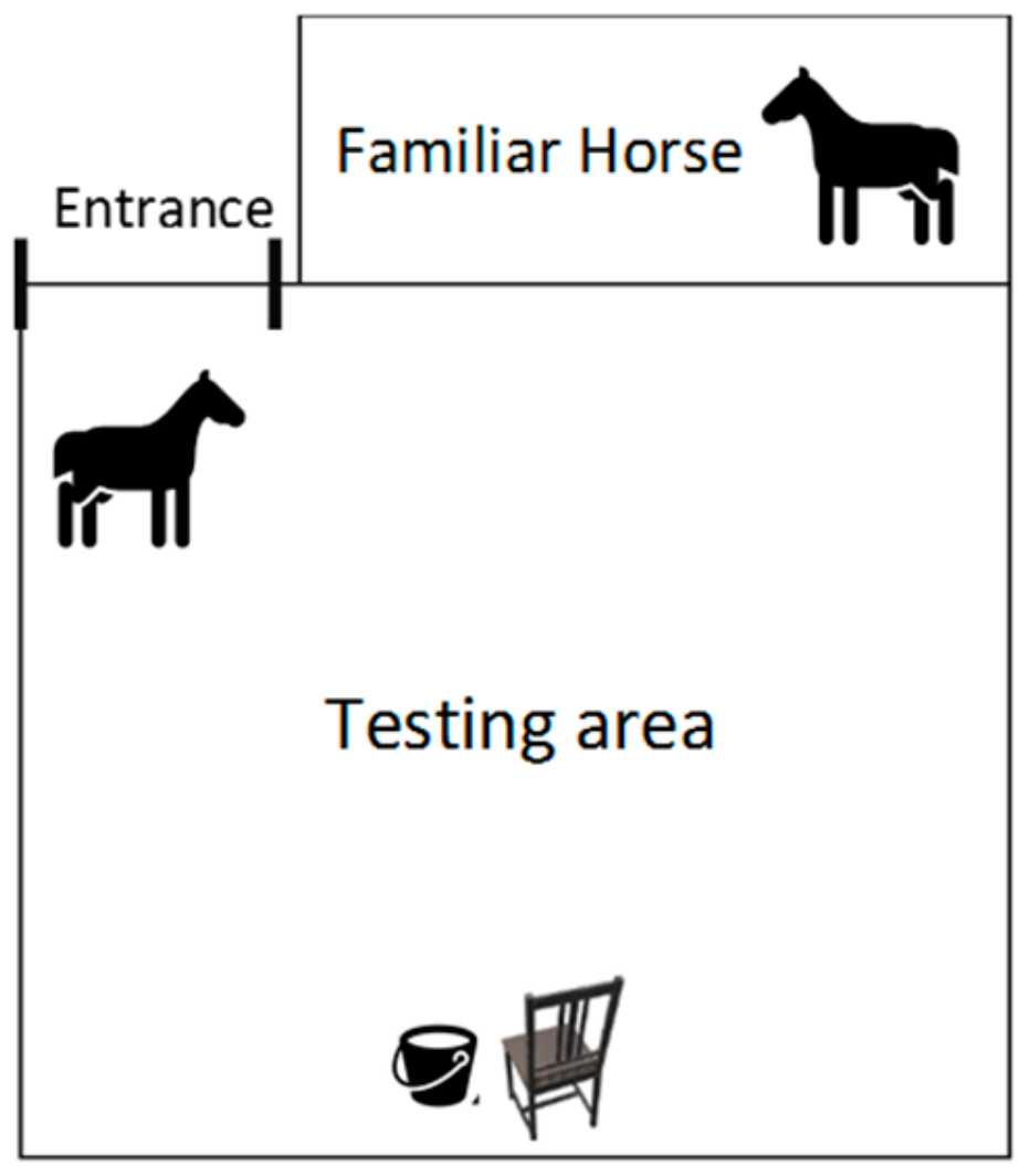 Animals | Free Full-Text | Equine Activities Influence Horses' Responses to Different Stimuli: Could This Have an Impact on Equine Welfare? Animals | Free Full-Text | Equine Activities Influence Horses' Responses to Different Stimuli: Could This Have an Impact on Equine Welfare?