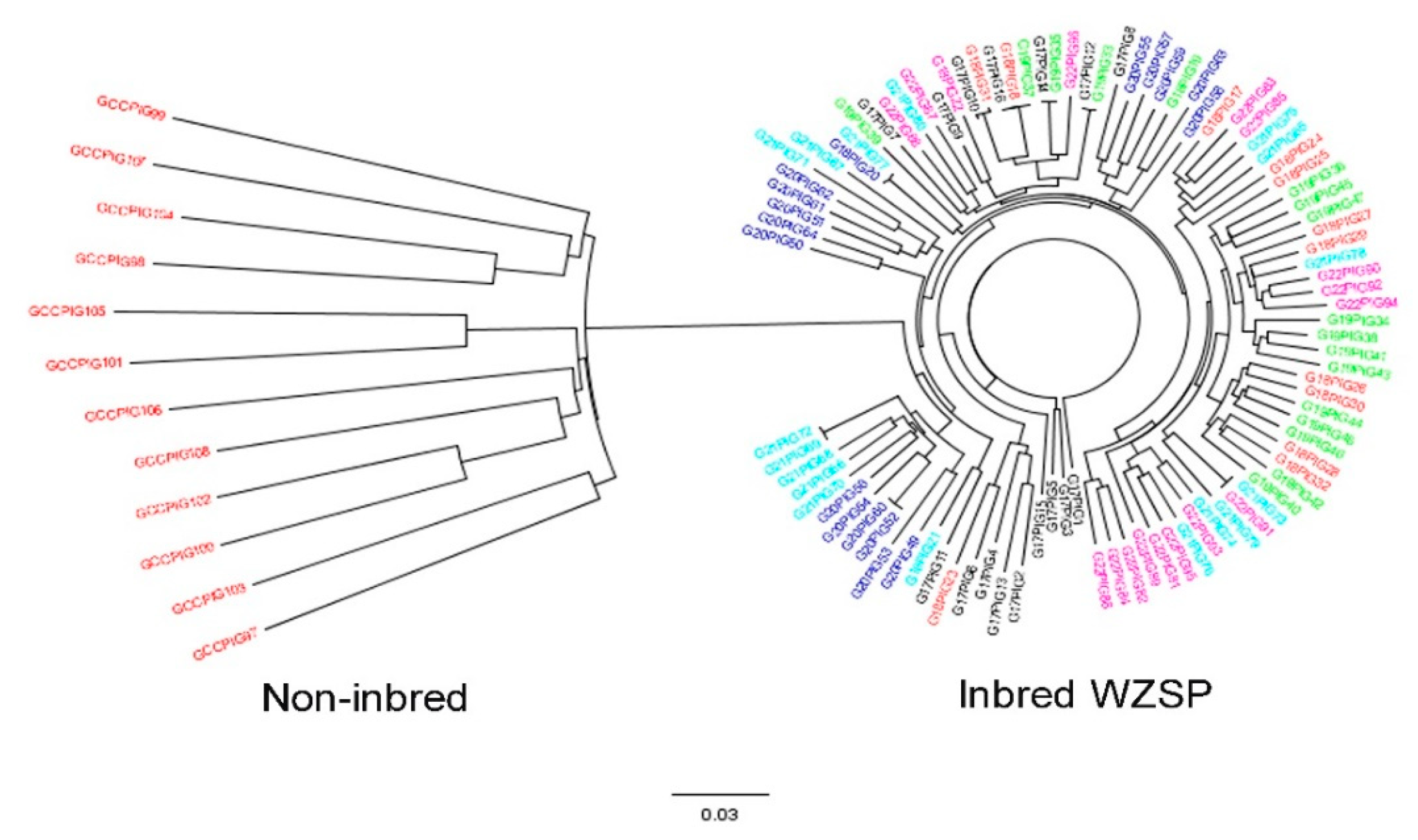 Animals 09 00314 g004