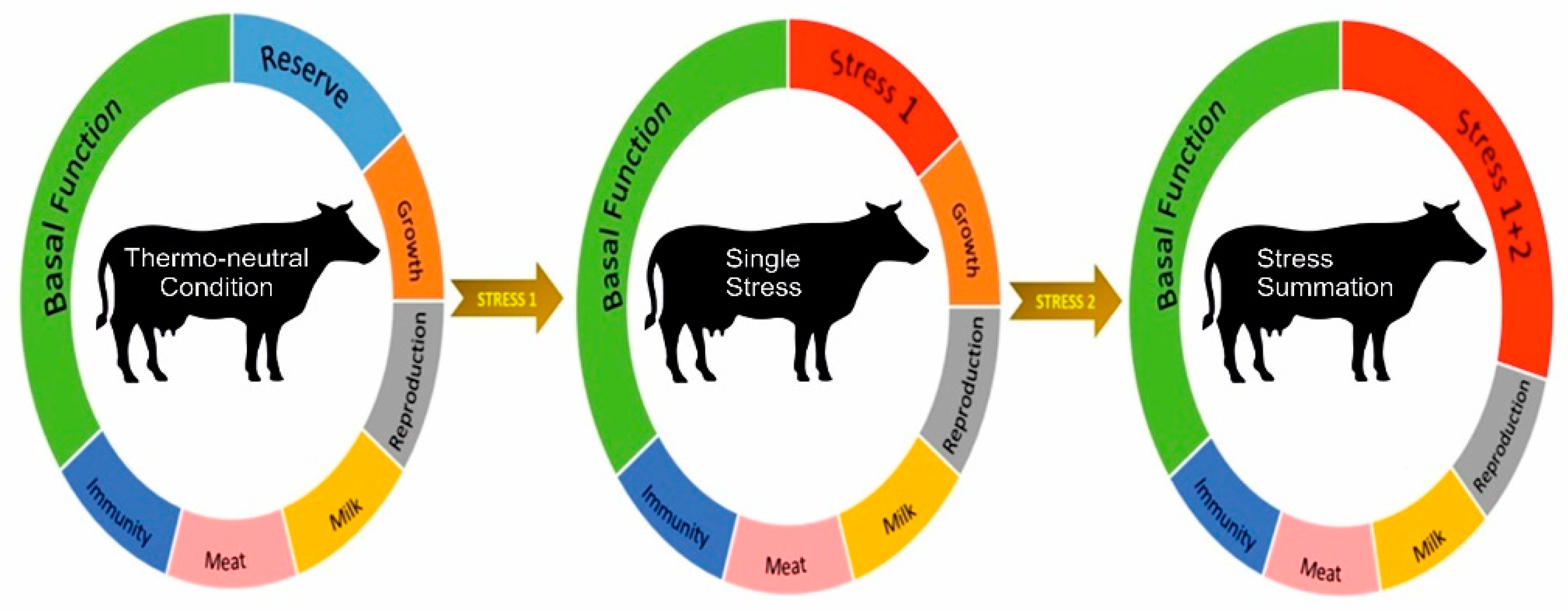 Animals | Free Full-Text | The Impact of Heat Load on Cattle