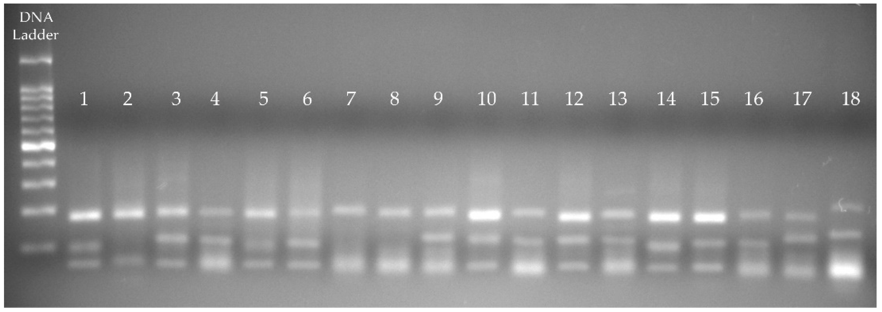 Animals 09 00325 g001