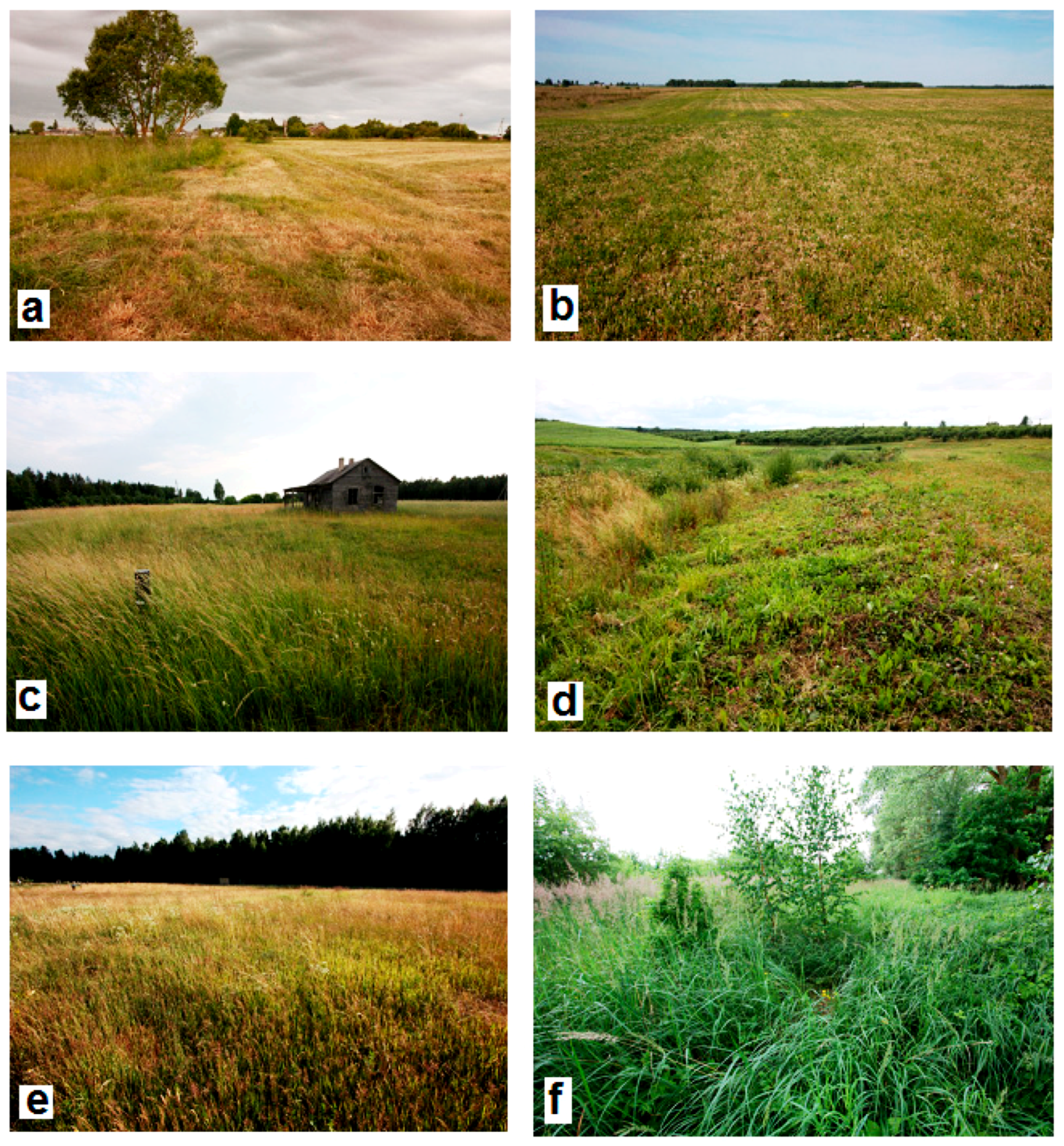 Animals 09 00334 g0a4