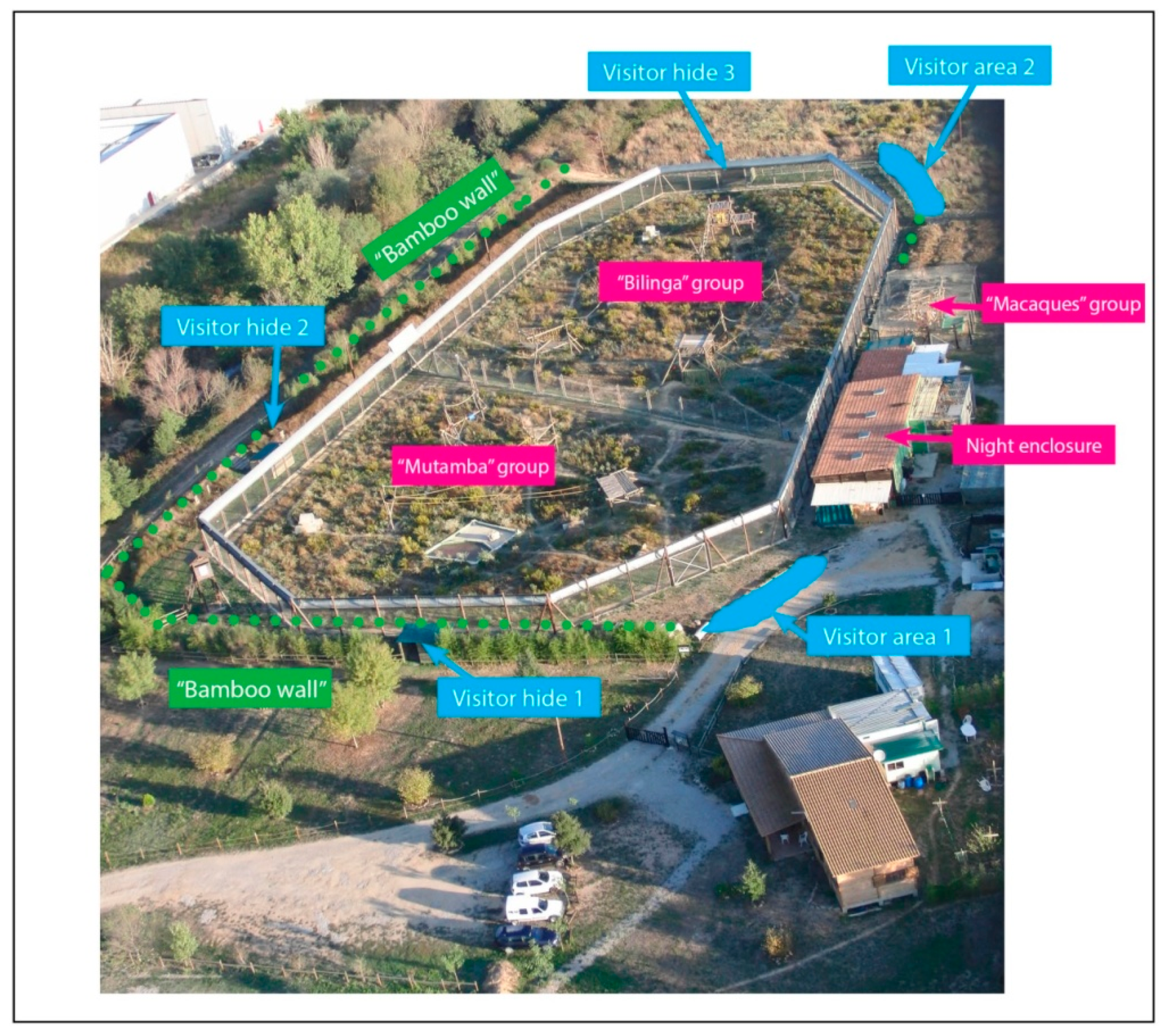 Animals 09 00347 g001