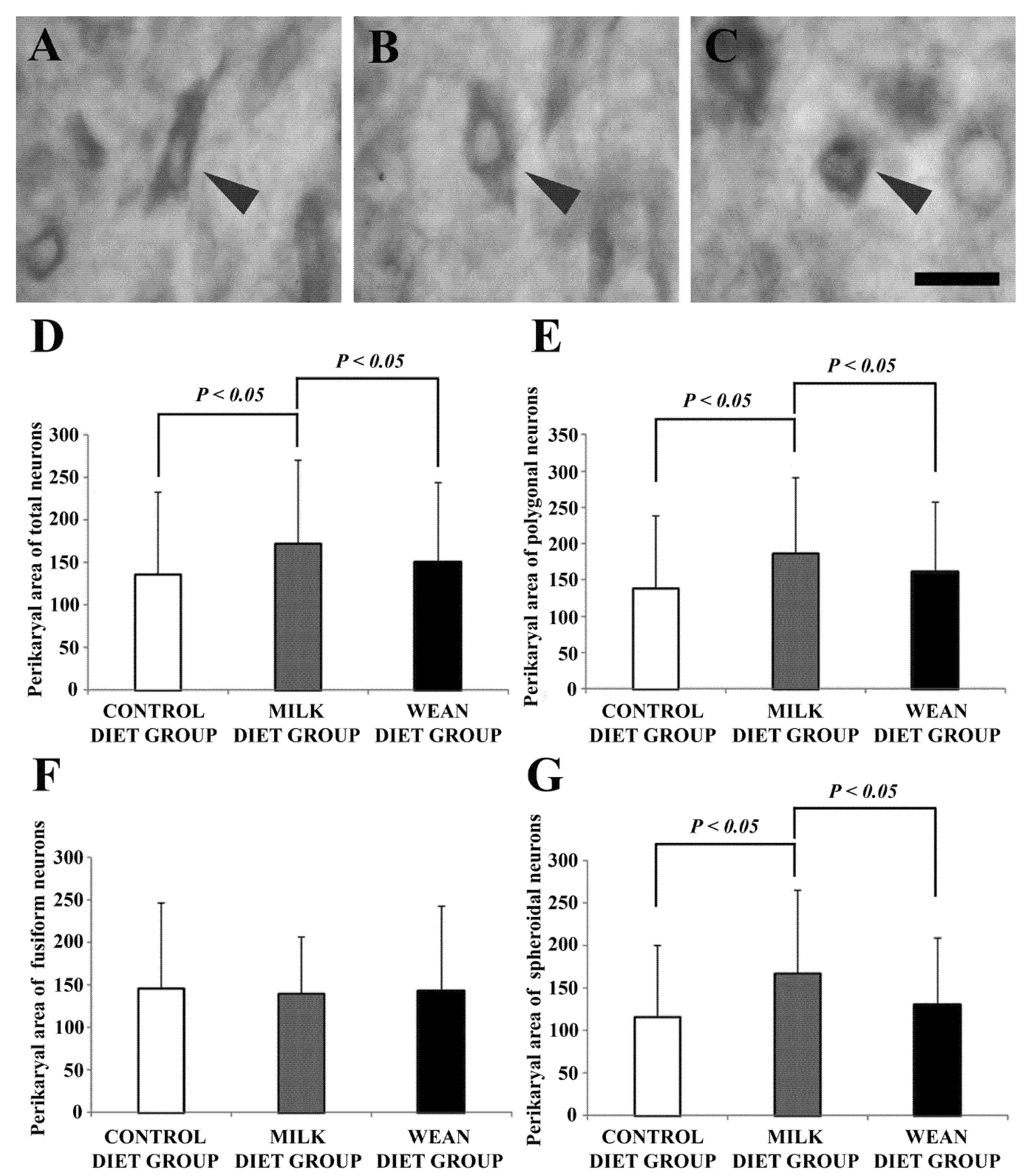 Animals 09 00358 g001