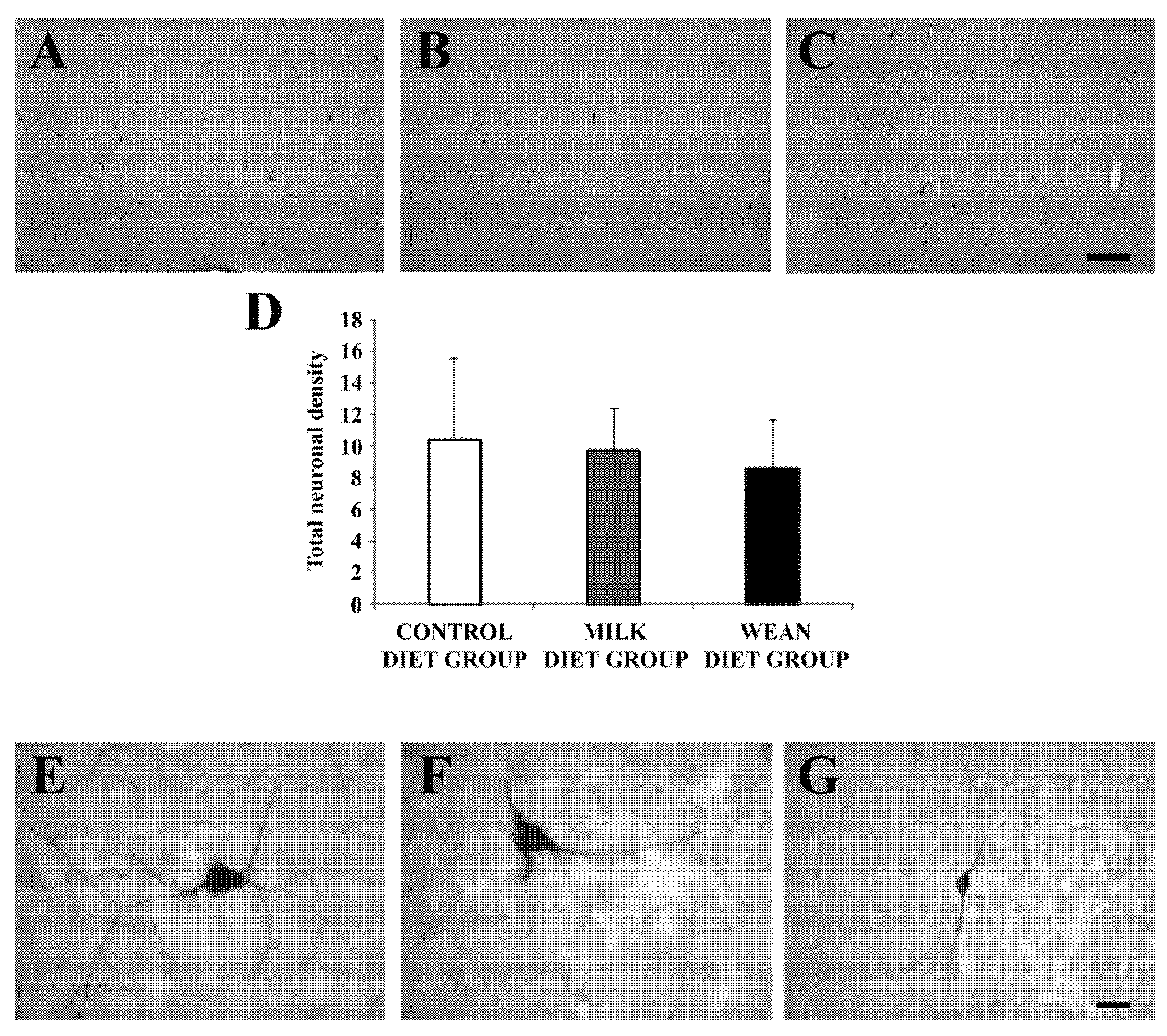 Animals 09 00358 g004