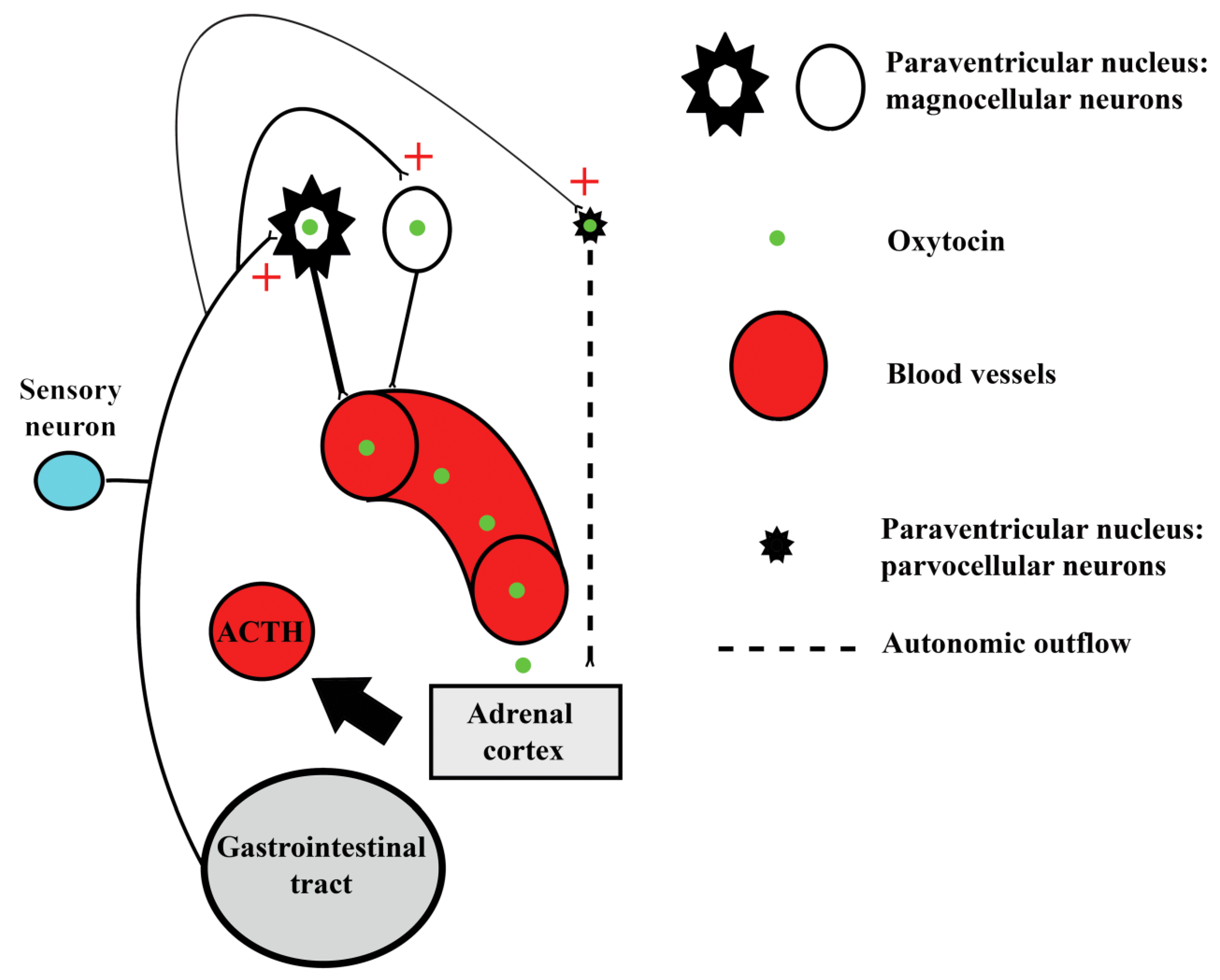 Animals 09 00358 g006