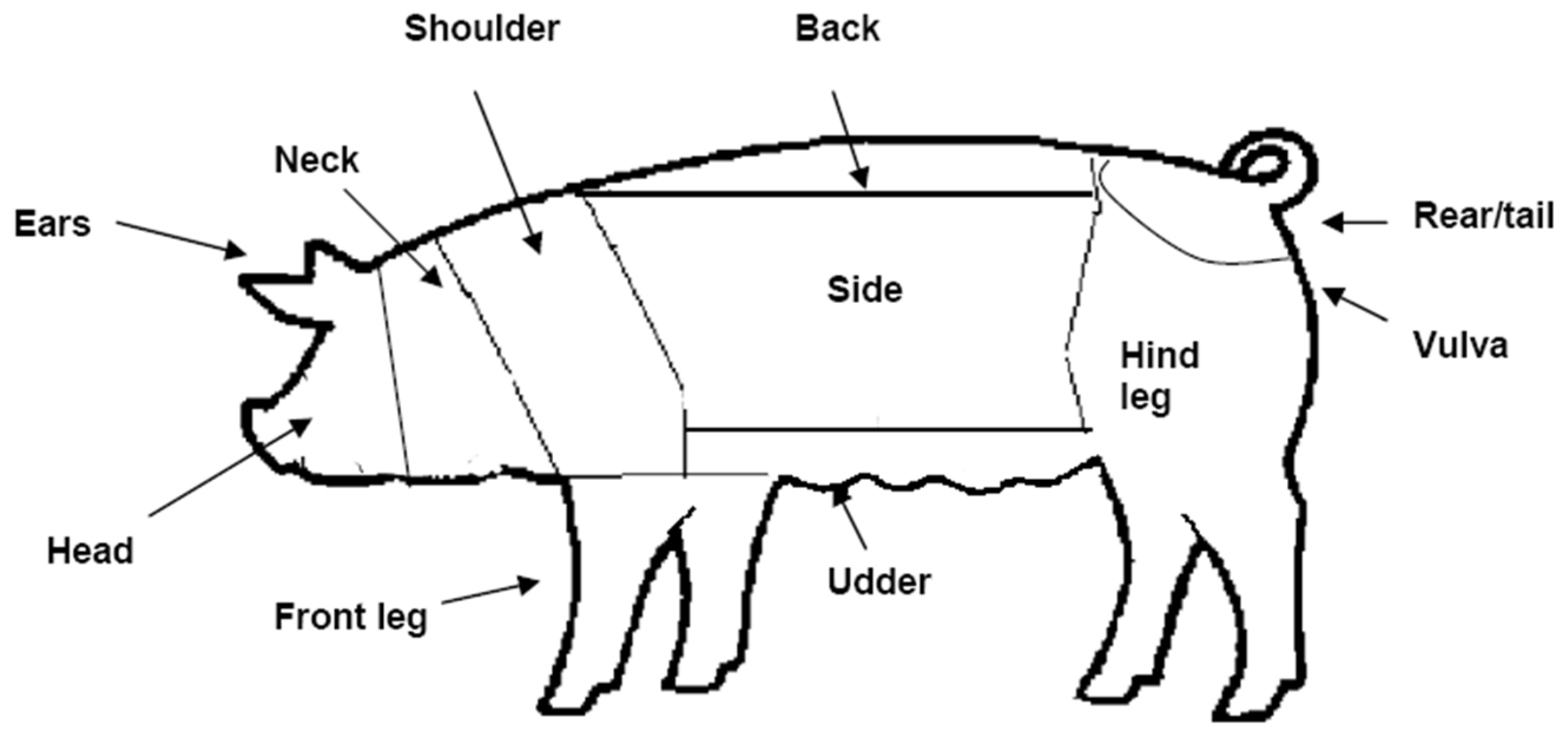 Animals 09 00369 g004