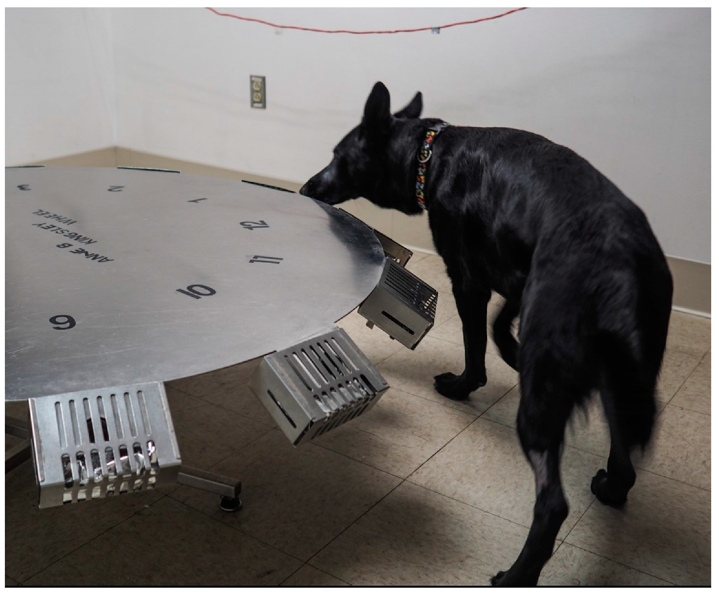 Animals 09 00385 g001