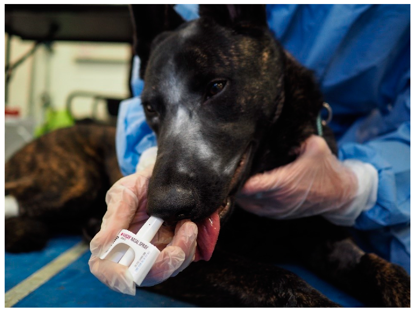 Animals 09 00385 g003