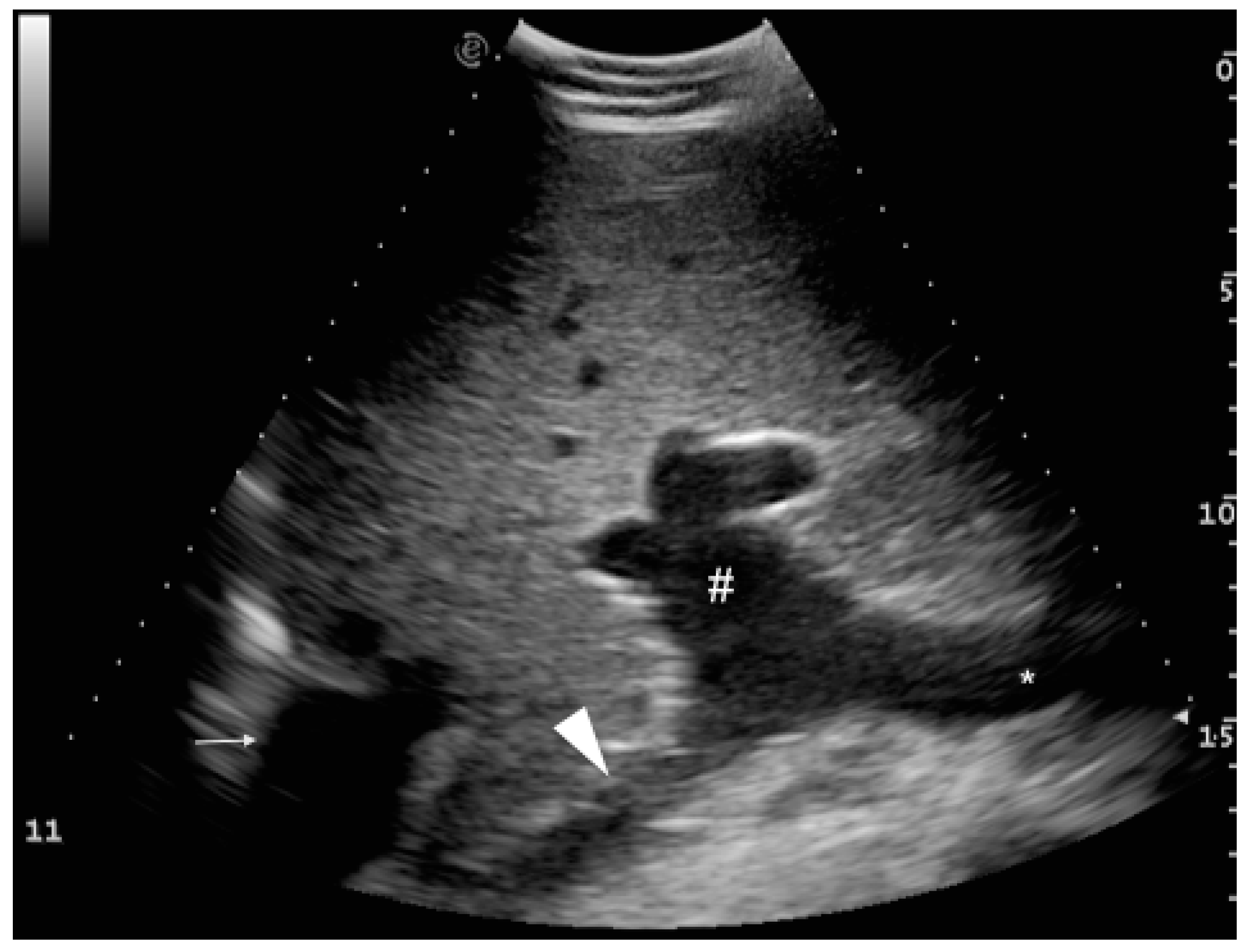 Animals 09 00386 g002 Animals 09 00386 g002