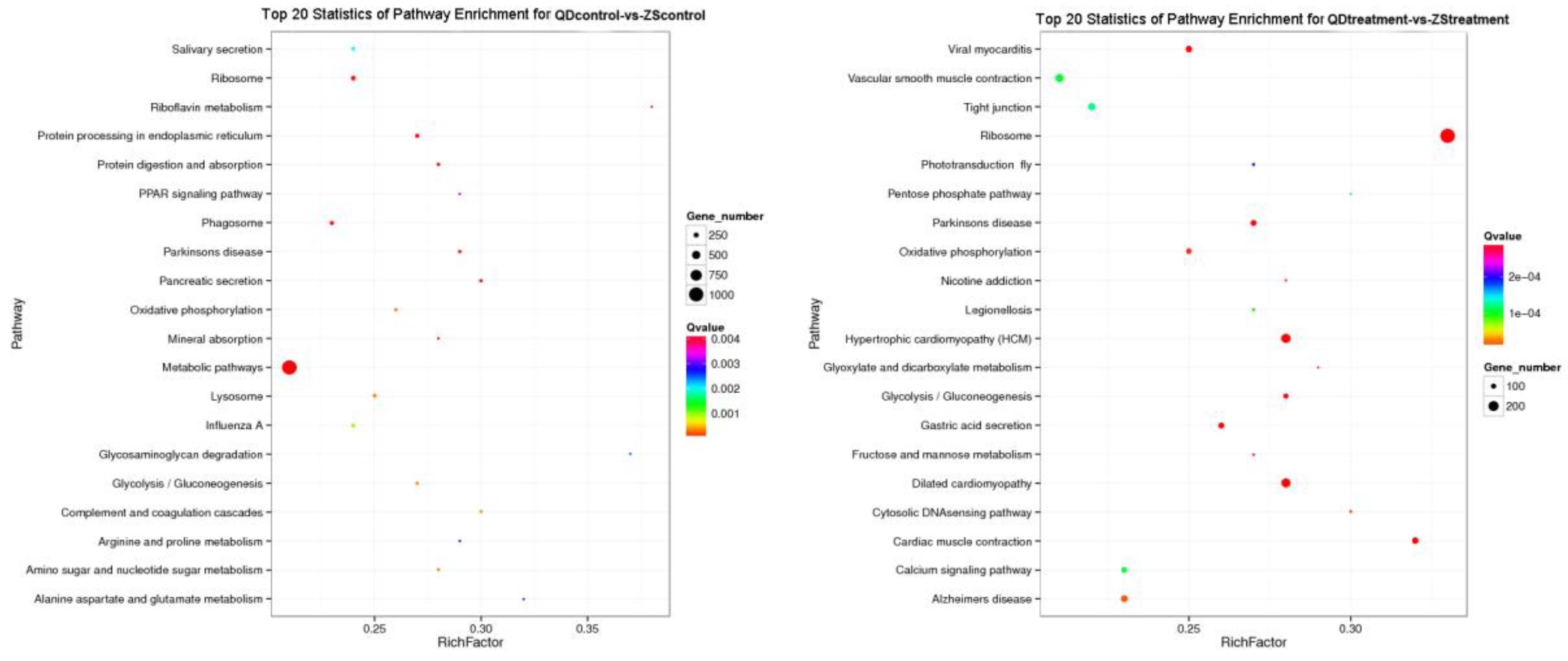 Animals 09 00399 g005
