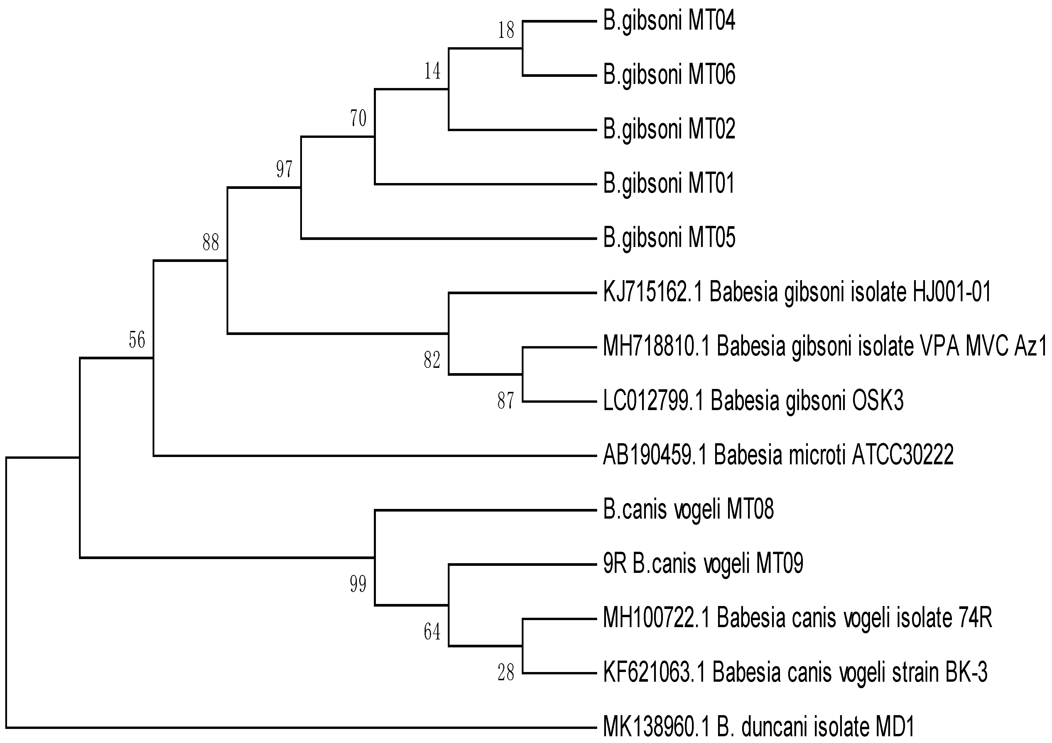 Animals 09 00439 g003