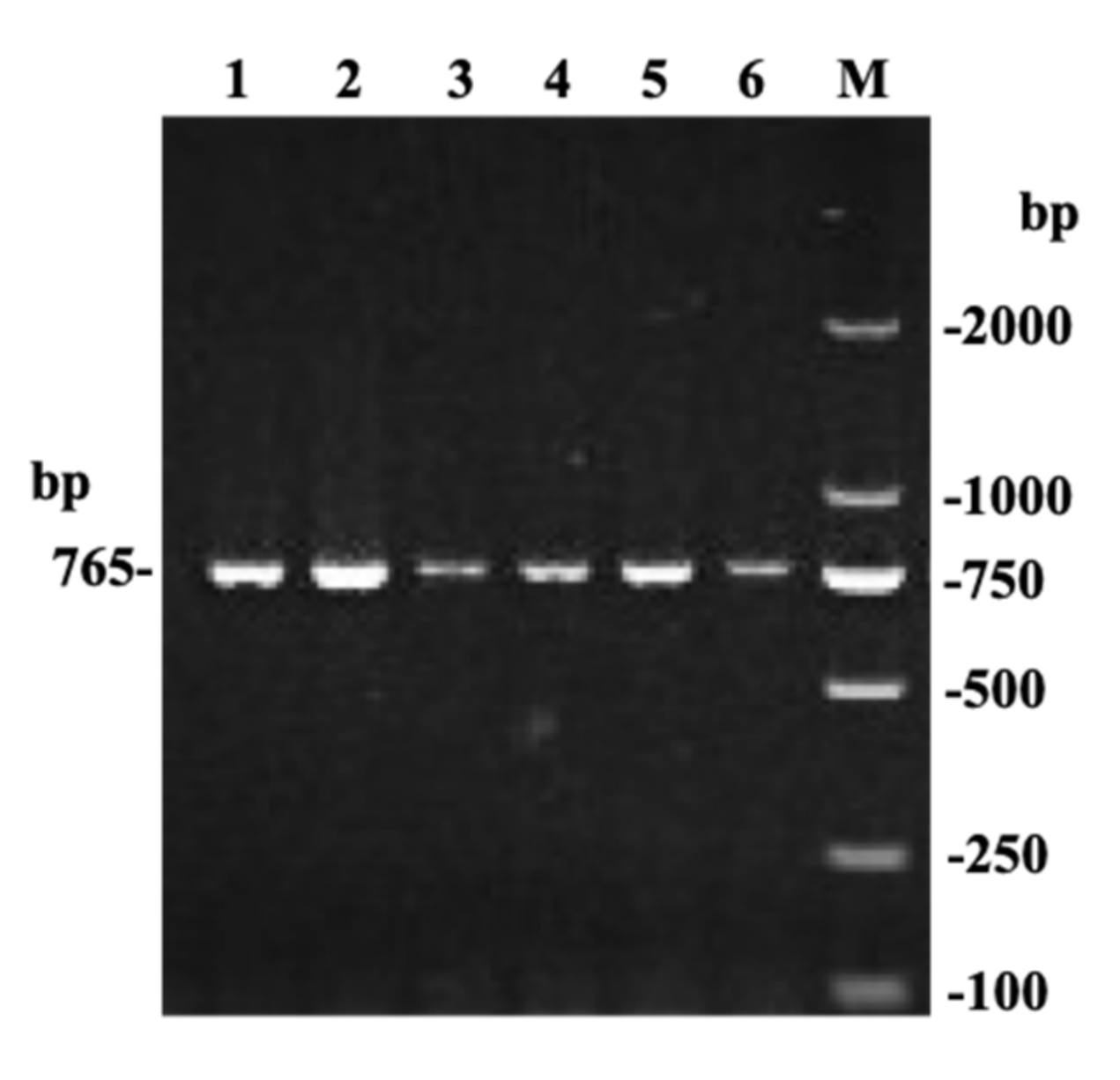 Animals 09 00444 g001 Animals 09 00444 g001