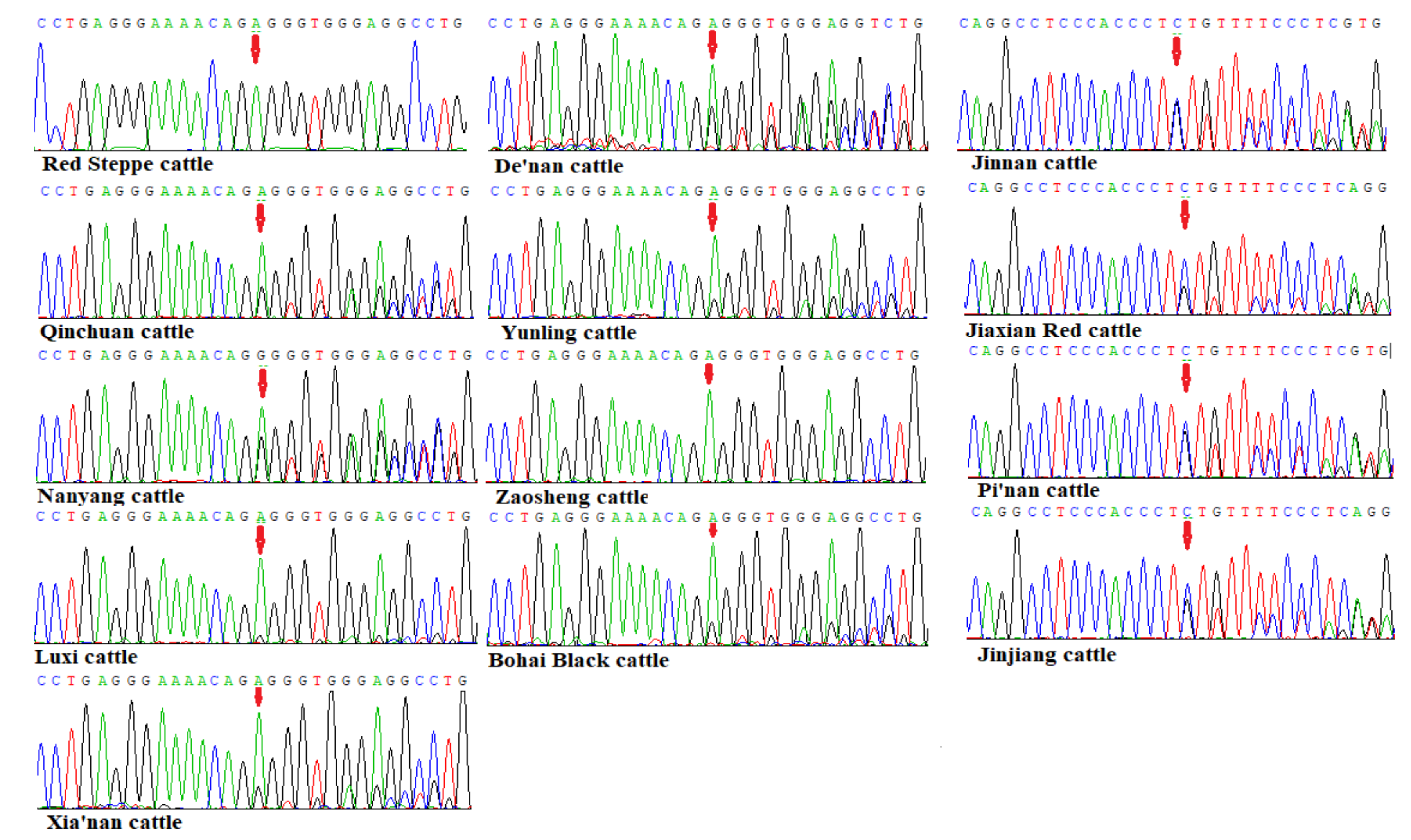 Animals 09 00444 g003 Animals 09 00444 g003