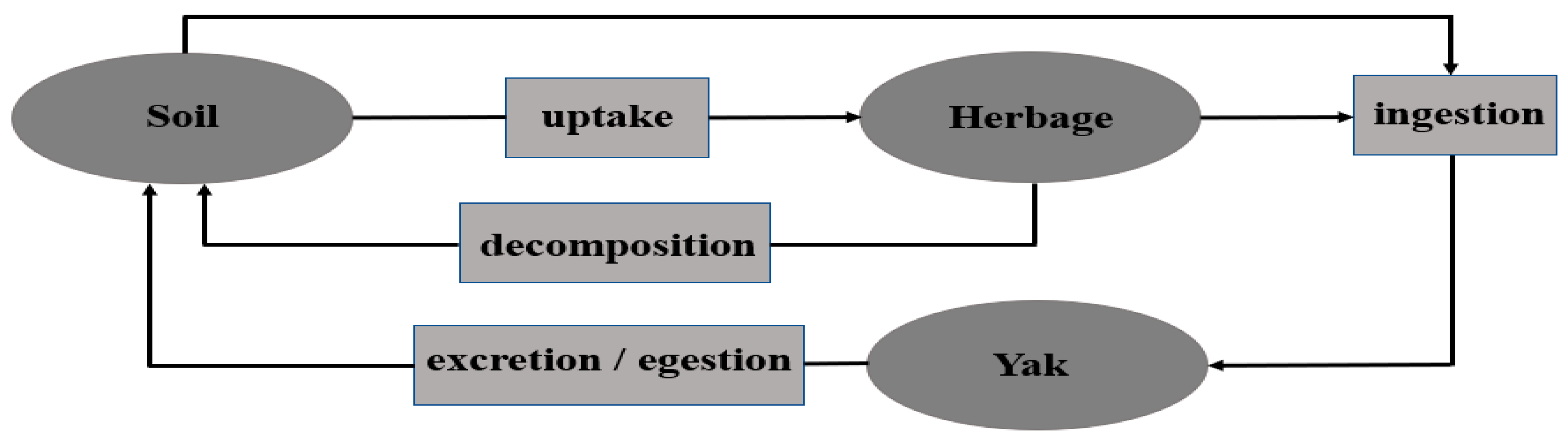 Animals 09 00468 g001