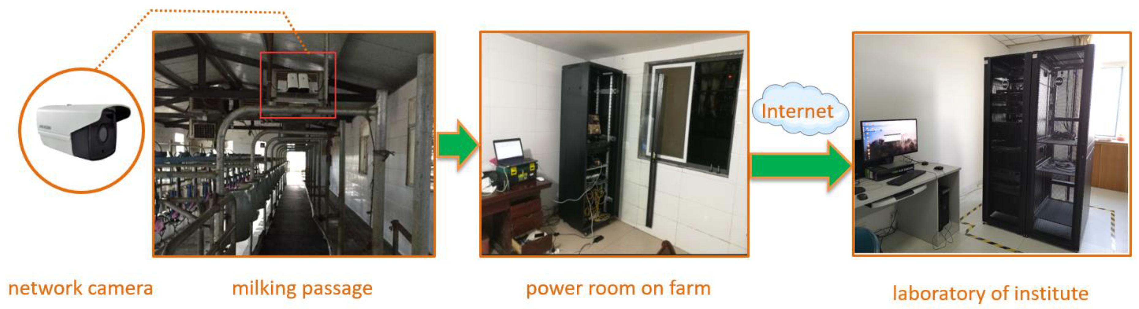 Animals 09 00470 g002