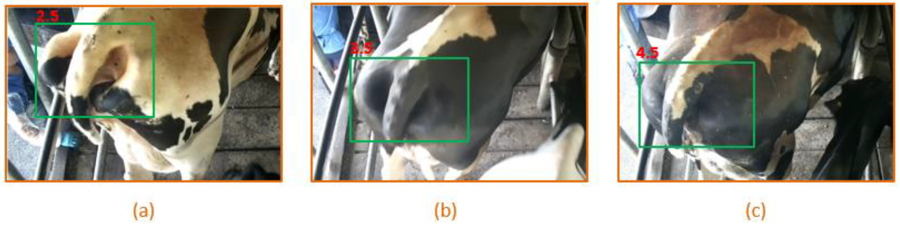 Animals 09 00470 g003