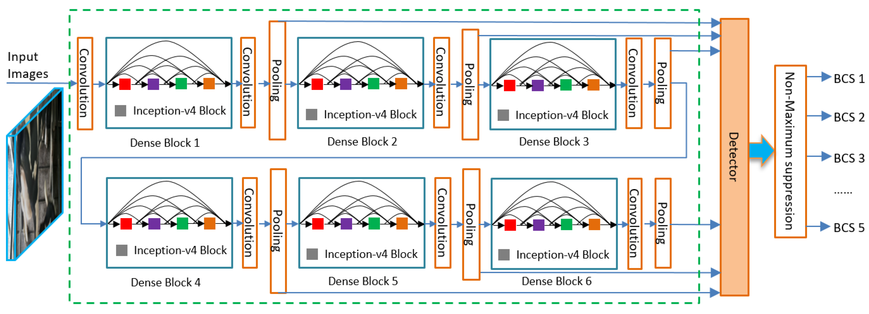 Animals 09 00470 g006