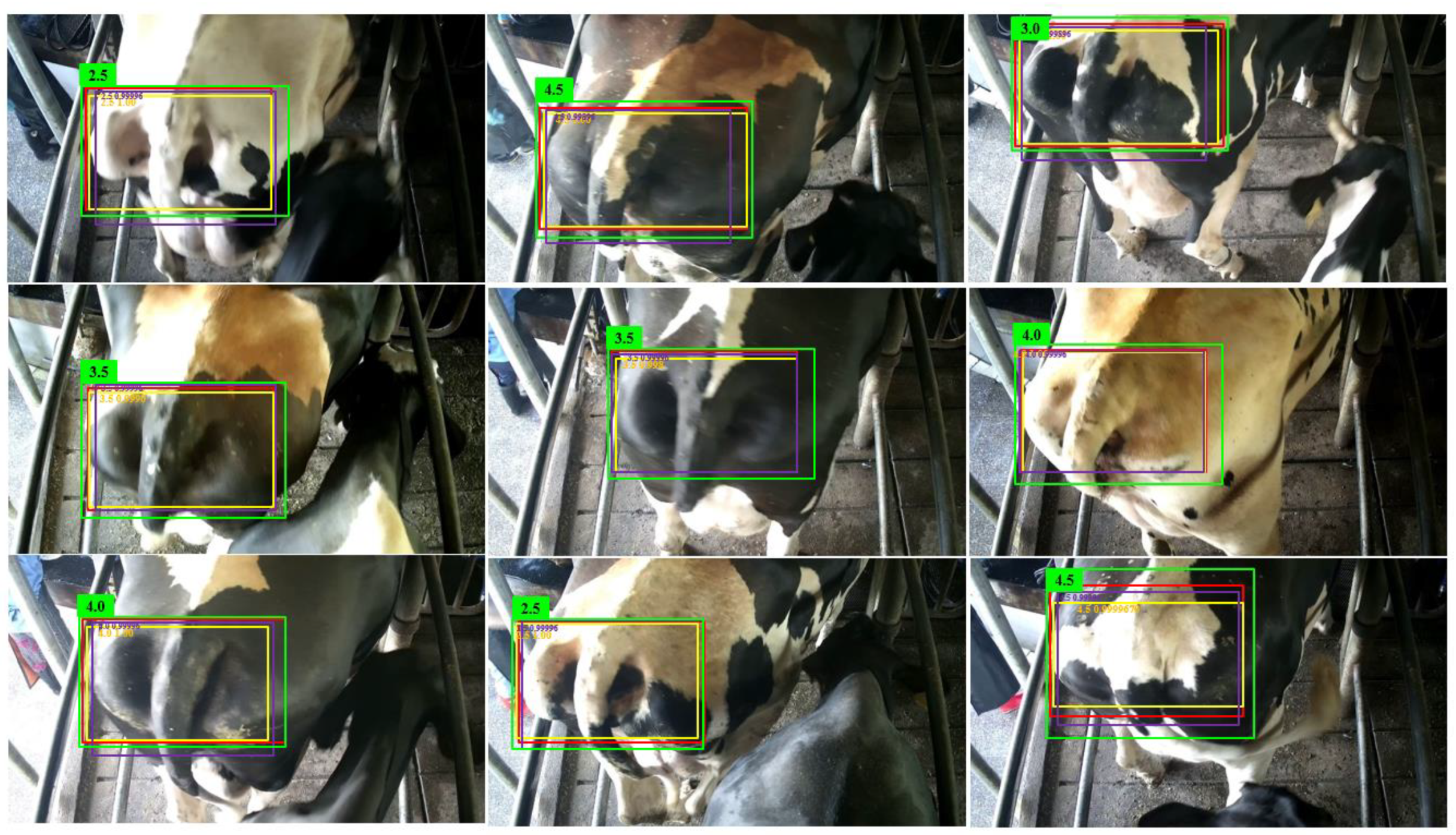 Animals 09 00470 g008