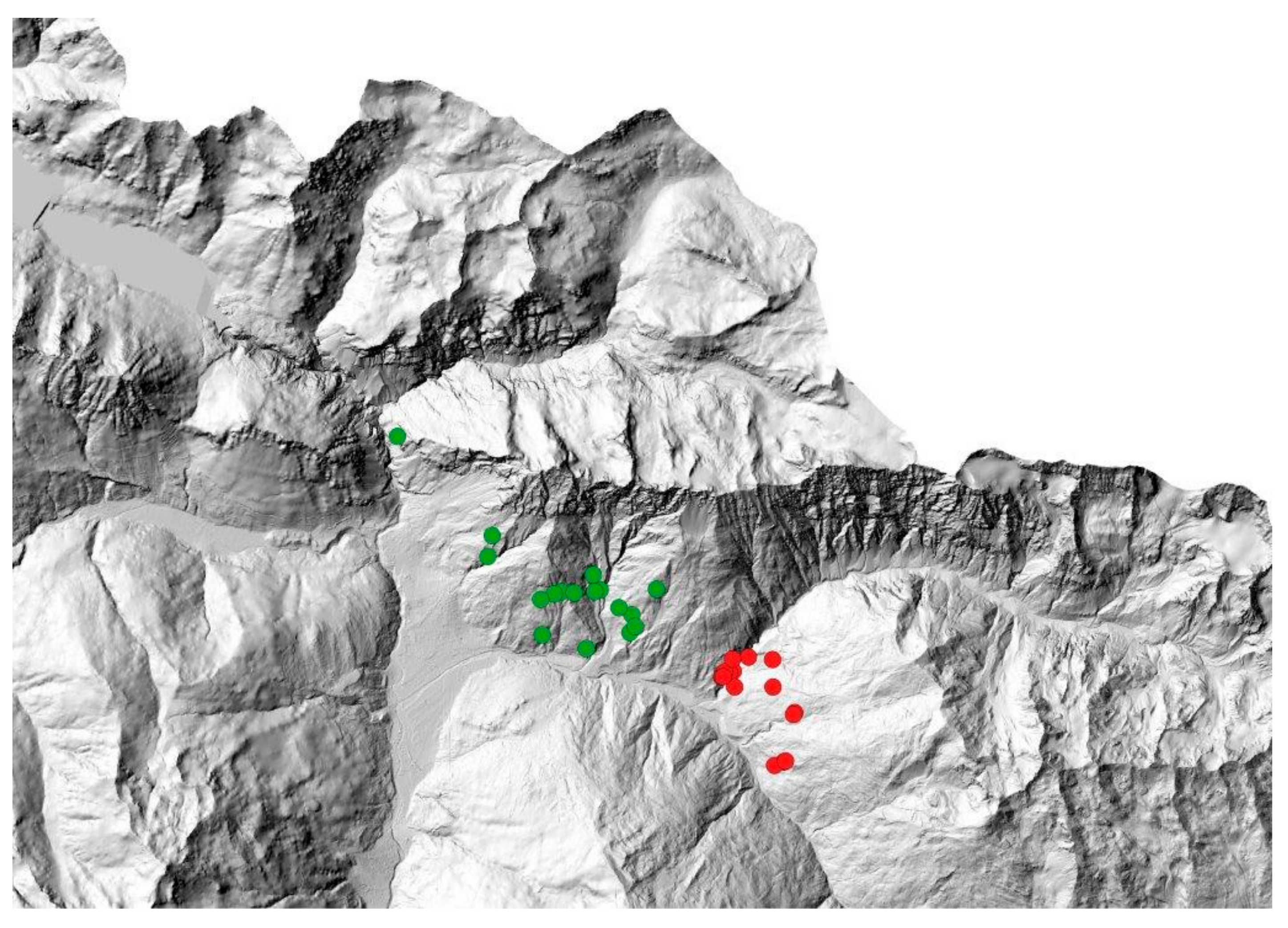 Animals 09 00492 g002