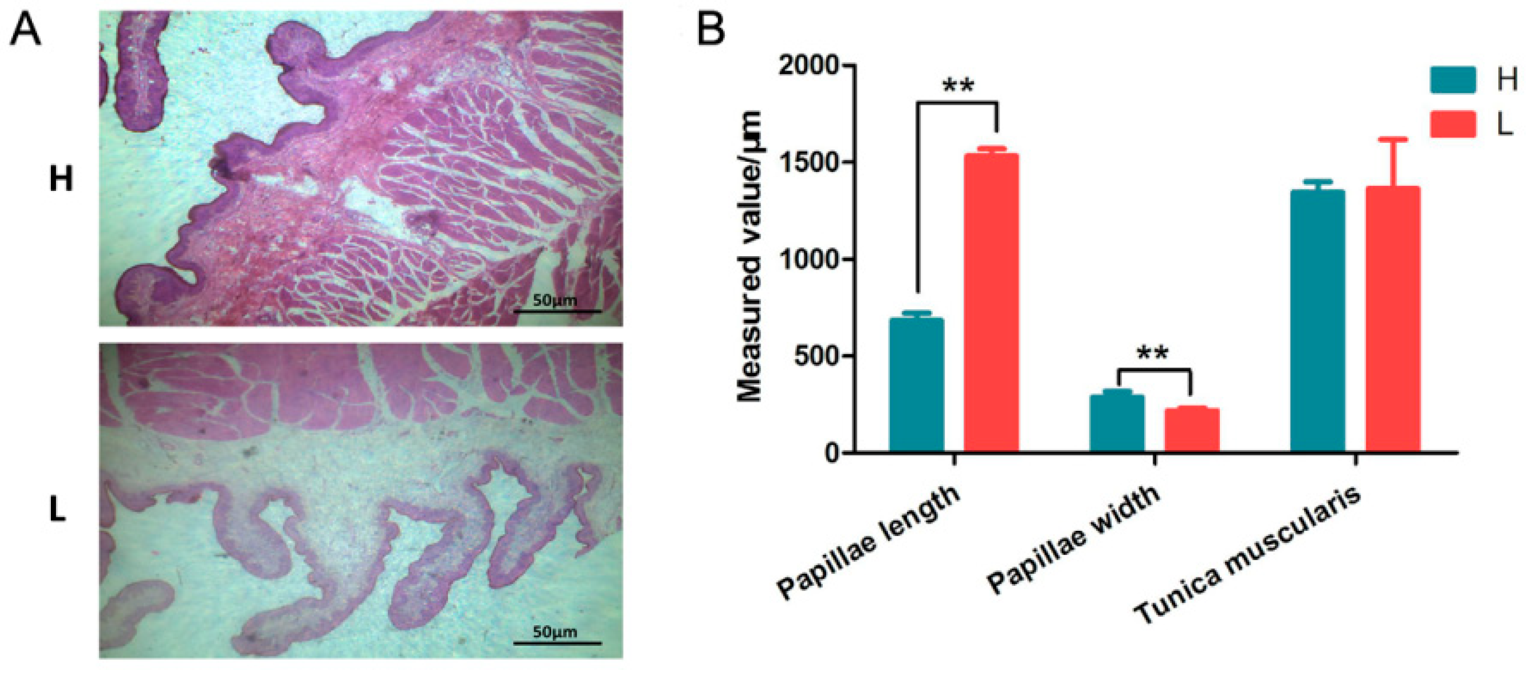 Animals 09 00496 g001 Animals 09 00496 g001