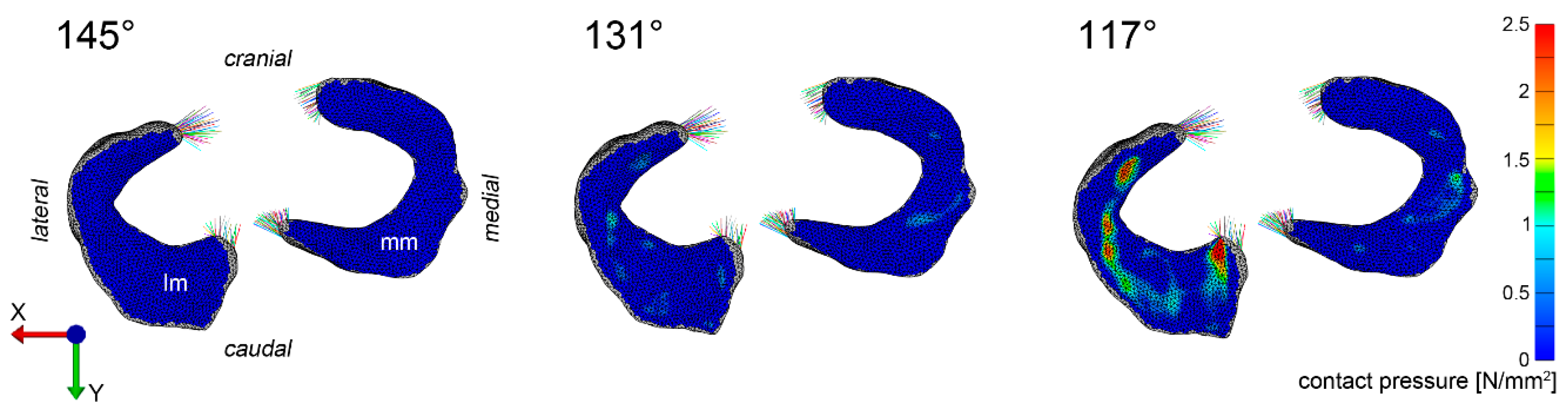 Animals 09 00502 g002 Animals 09 00502 g002