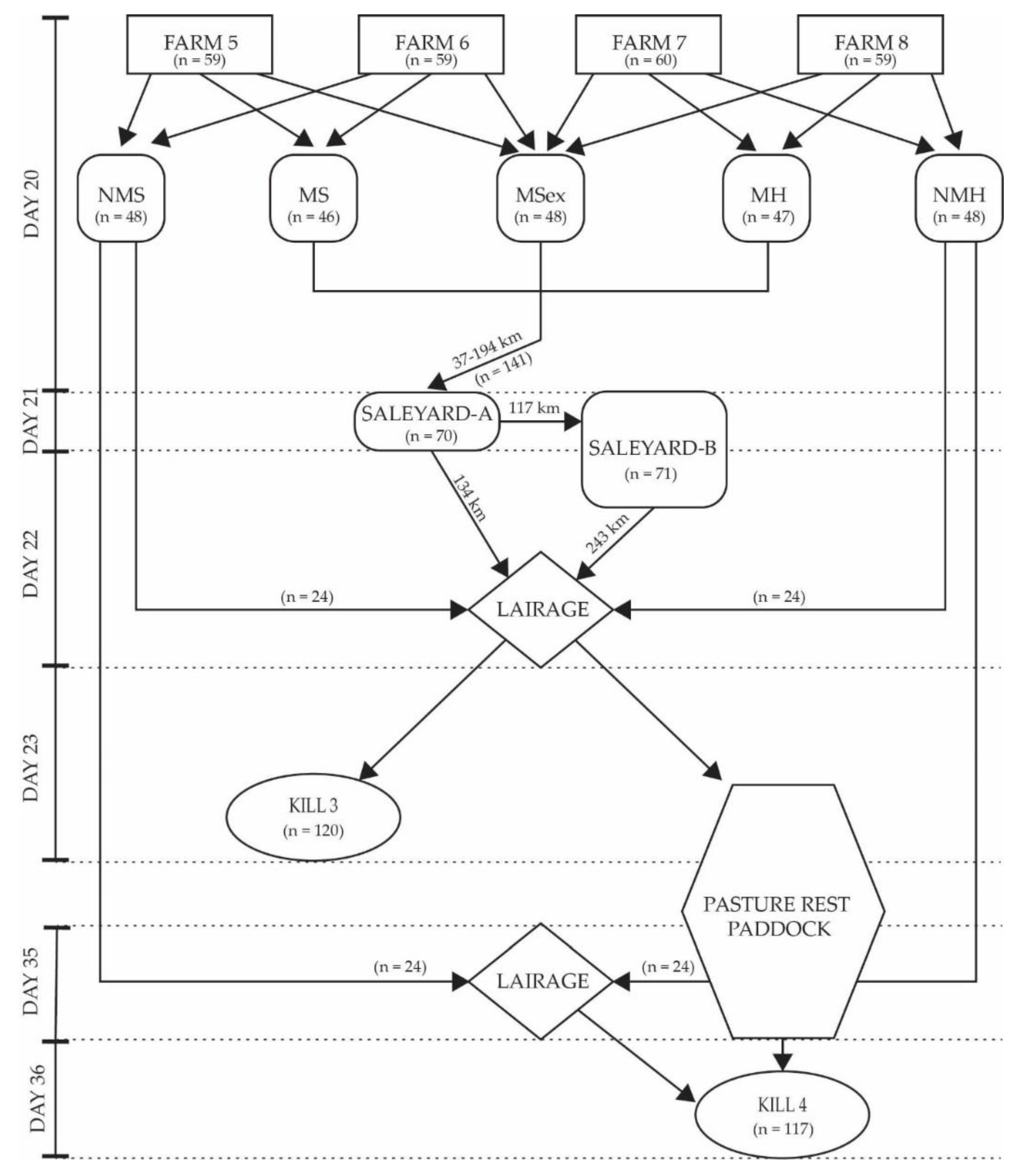 Animals Free Full Text The Use Of Biochemical Measurements To Identify Pre Slaughter Stress In Pasture Finished Beef Cattle Html