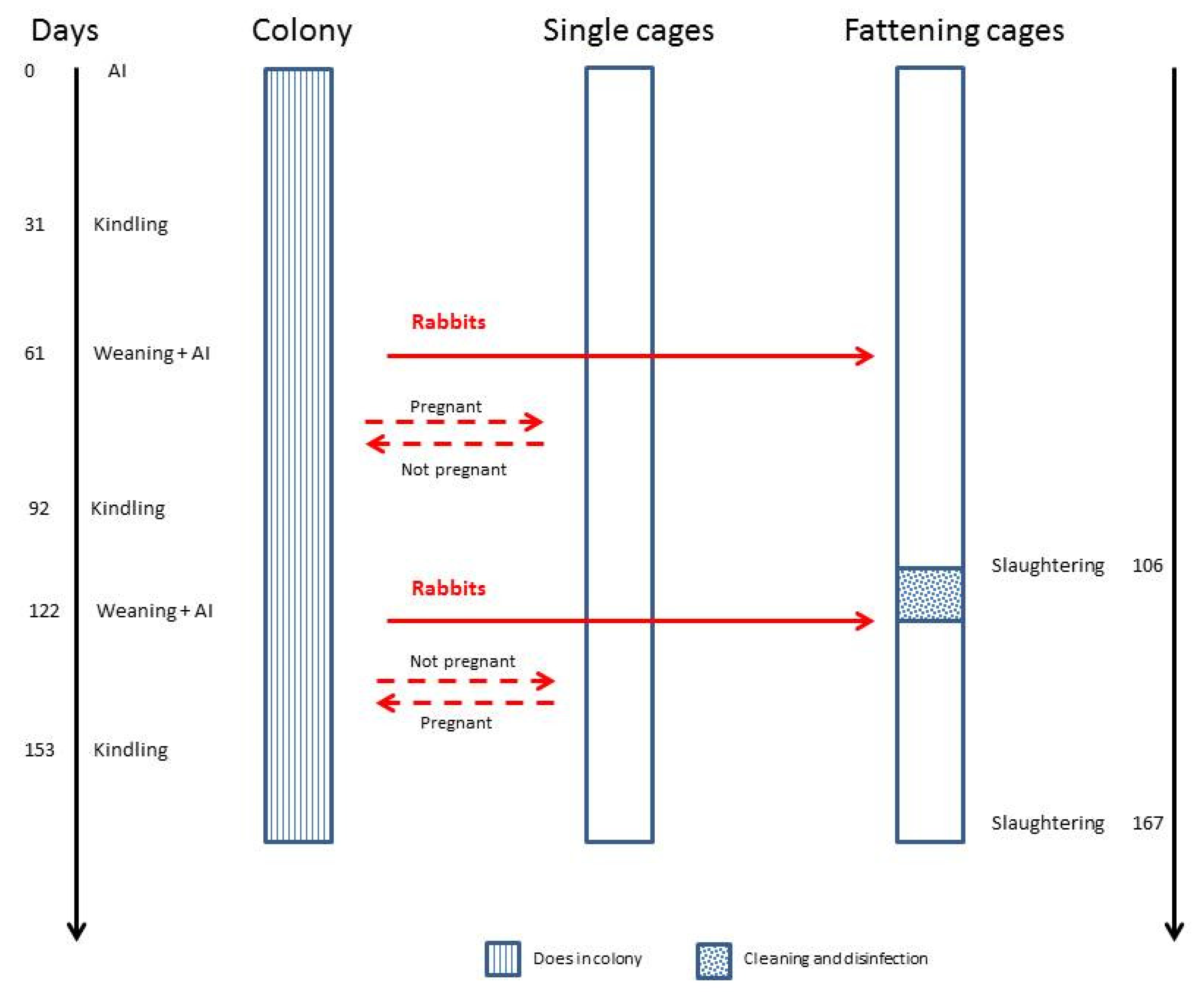 Animals 09 00528 g003