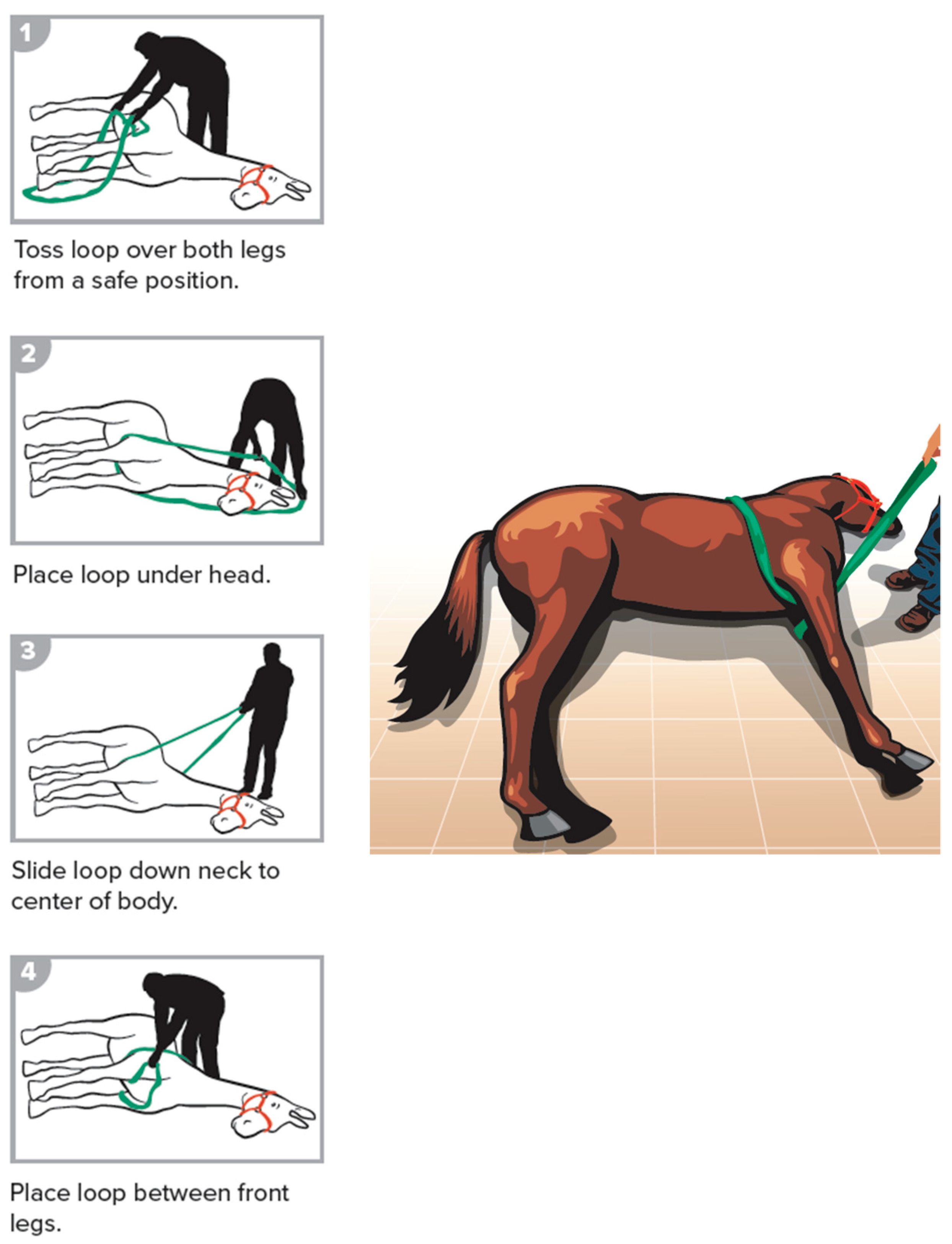 Animals 09 00529 g002