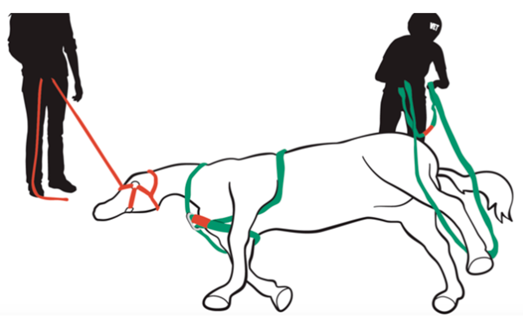 Animals 09 00529 g0a10