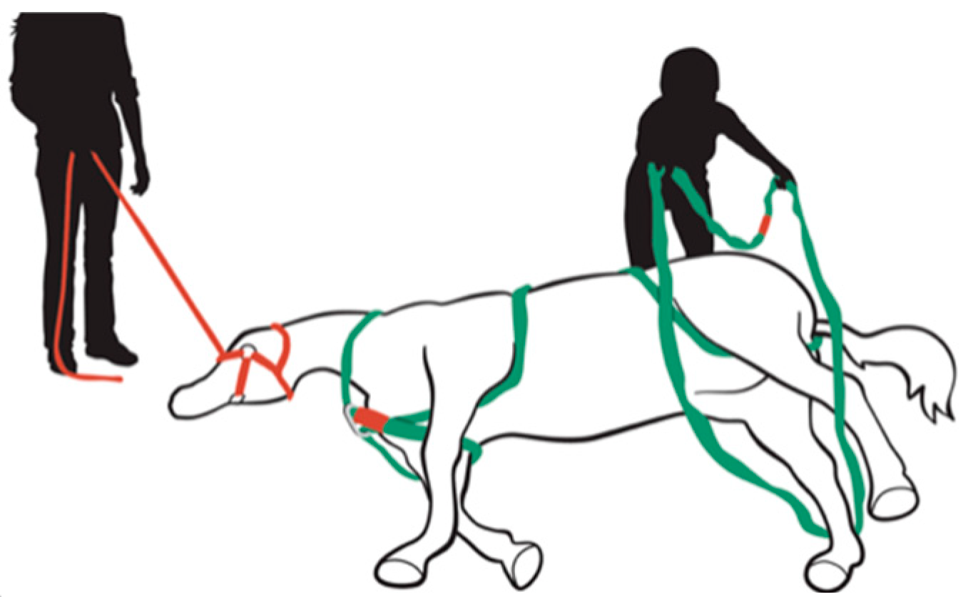 Animals 09 00529 g0a14