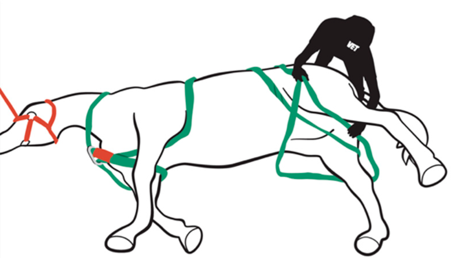 Animals 09 00529 g0a16