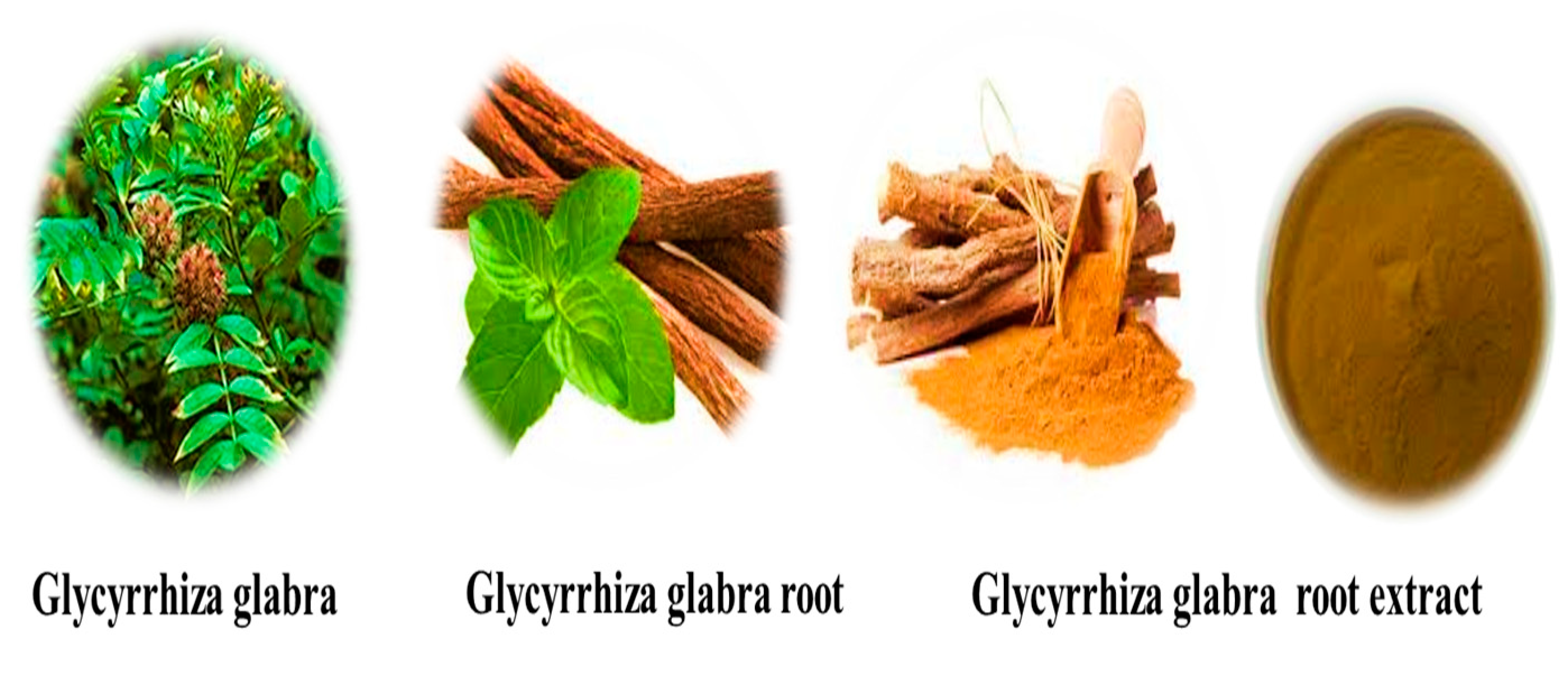 Animals 09 00536 g001