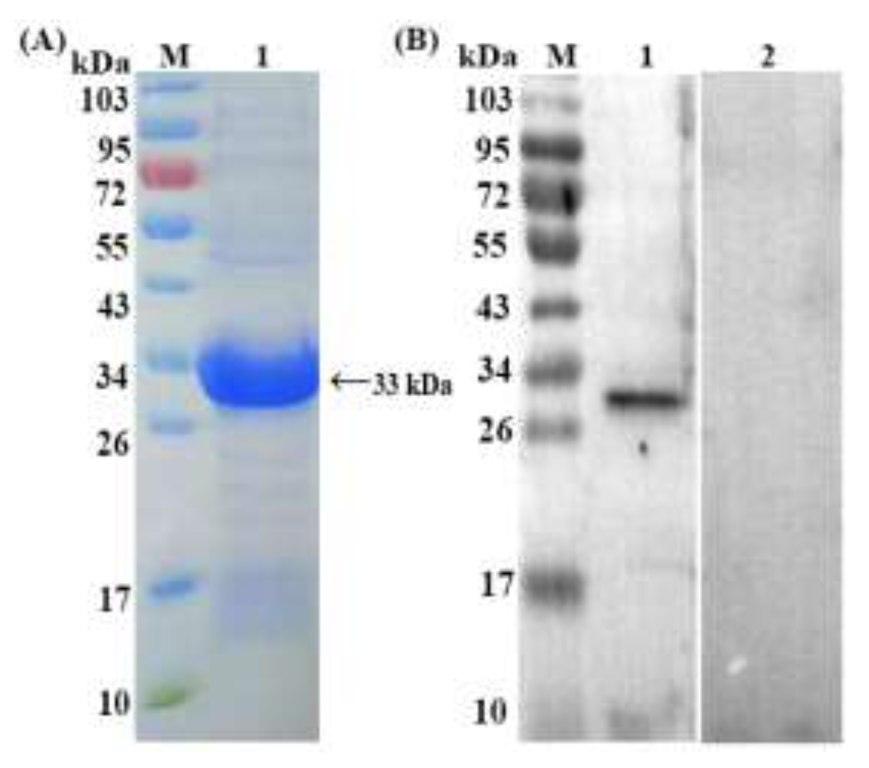 Animals 09 00548 g001 Animals 09 00548 g001