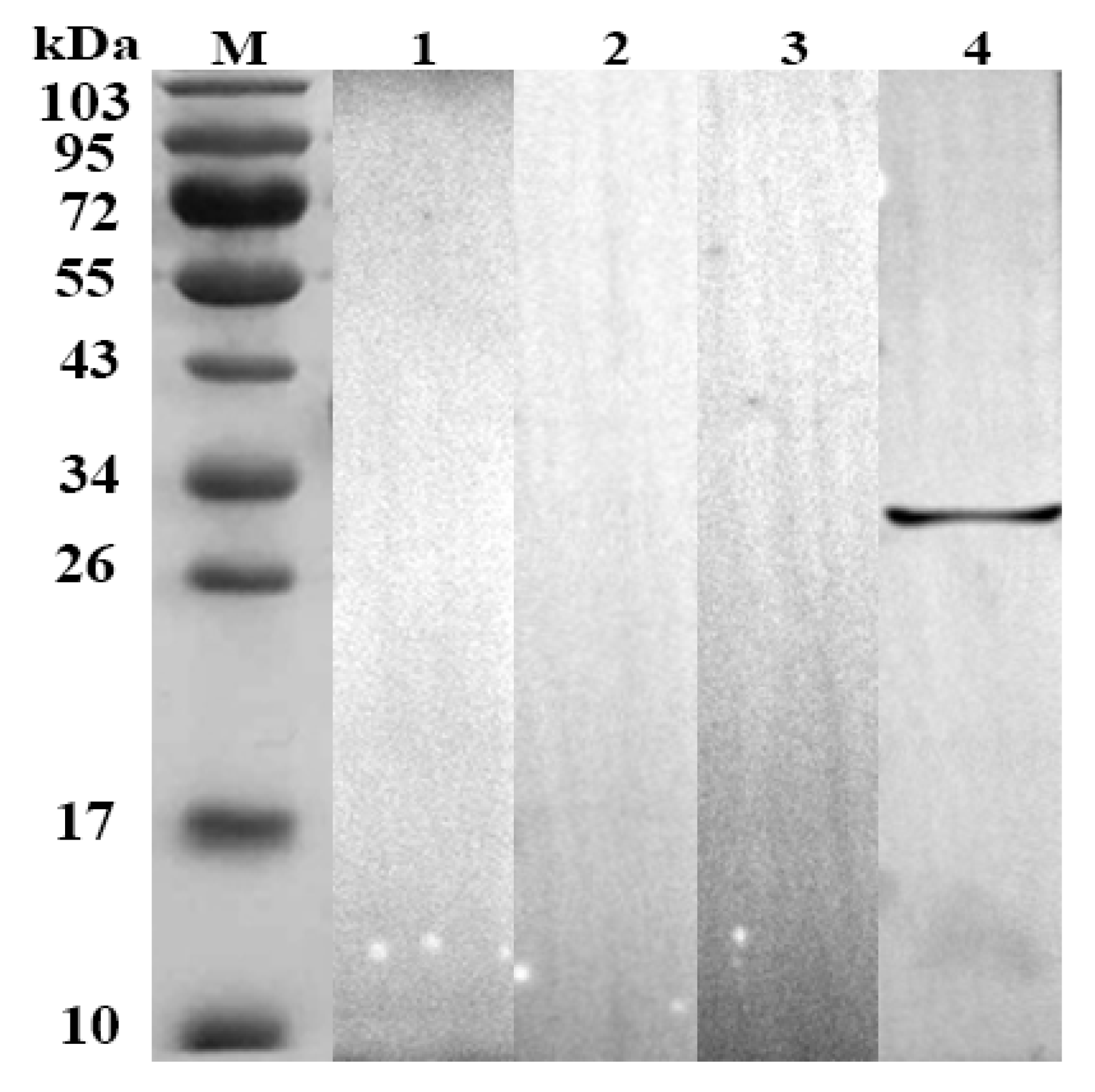 Animals 09 00548 g002 Animals 09 00548 g002